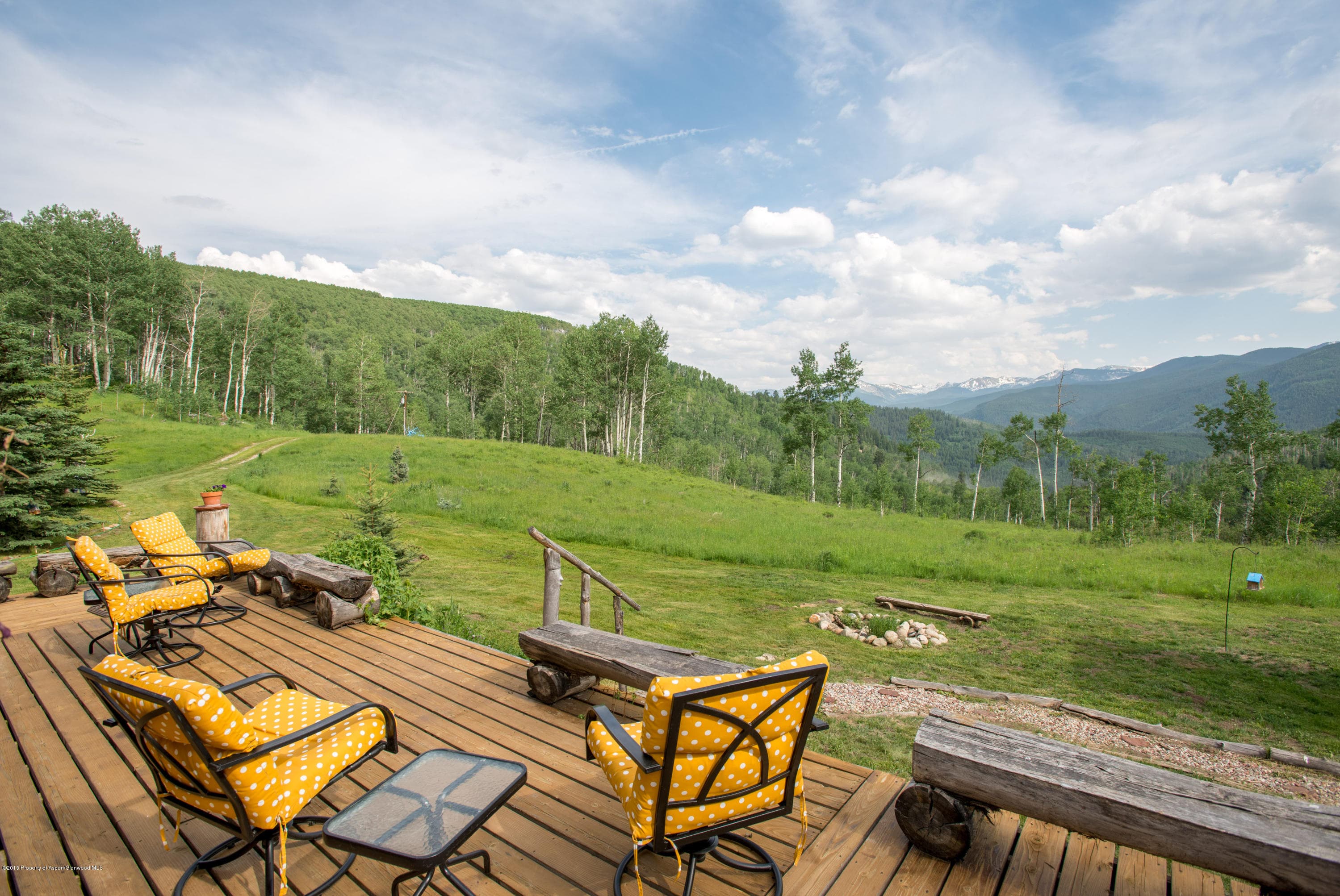 28525 Brush Creek Road - Photo 3