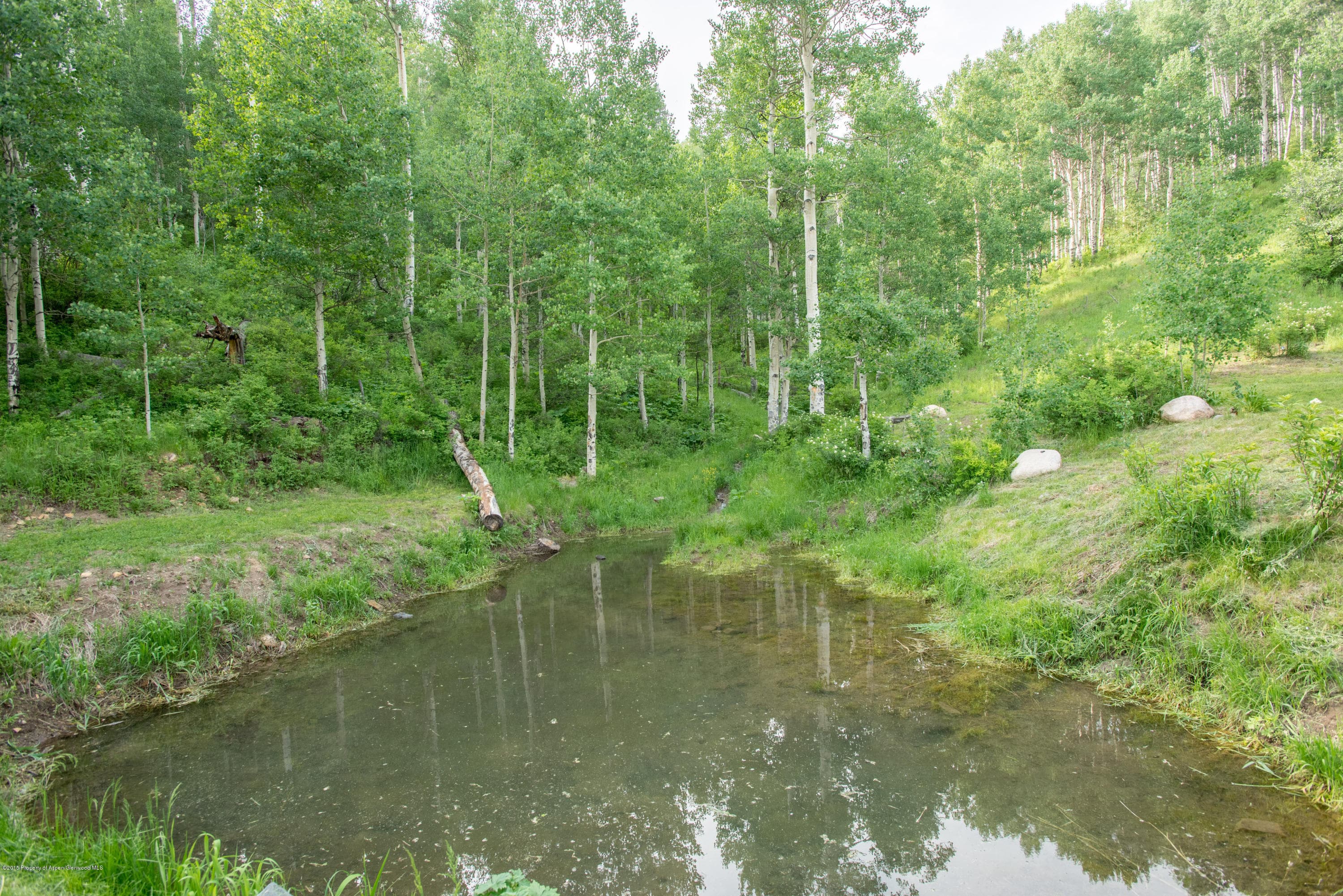 28525 Brush Creek Road - Photo 12