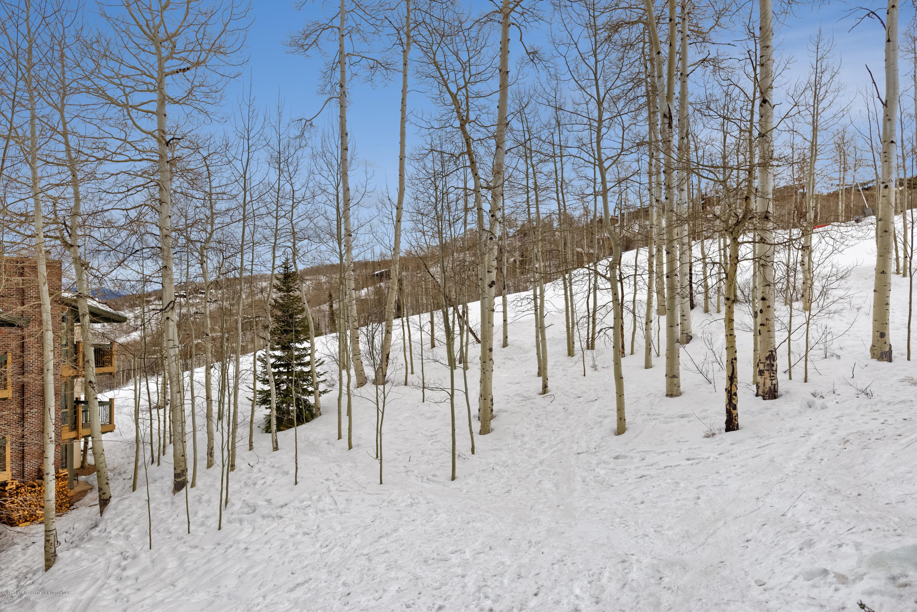 855 Carriage Way Slope #201 - Photo 11