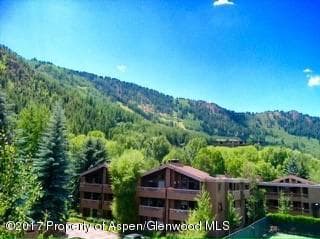 610 S West End Street H-303, Aspen, CO 81611