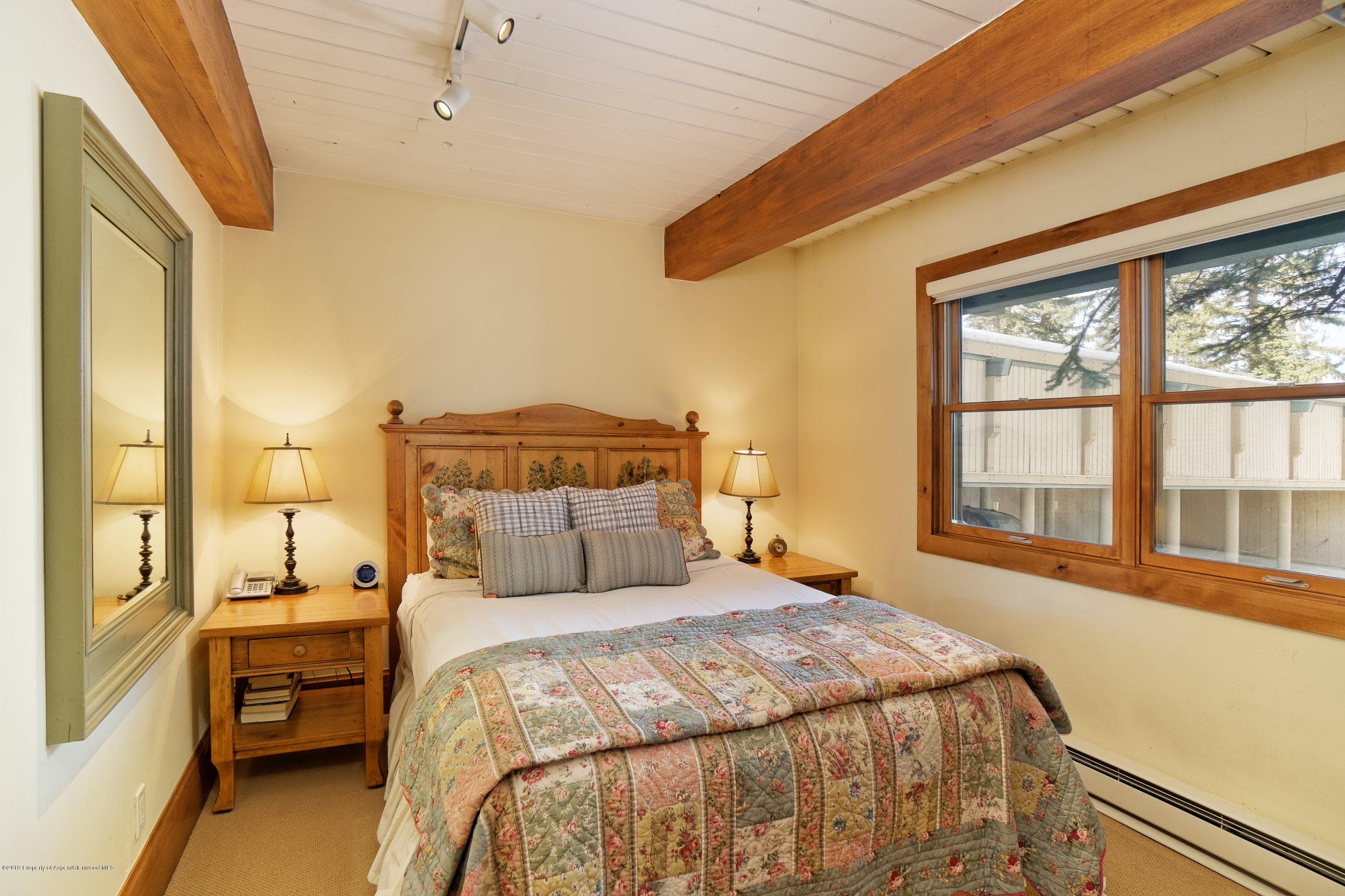 855 Carriage Way Summit 101 - Photo 10