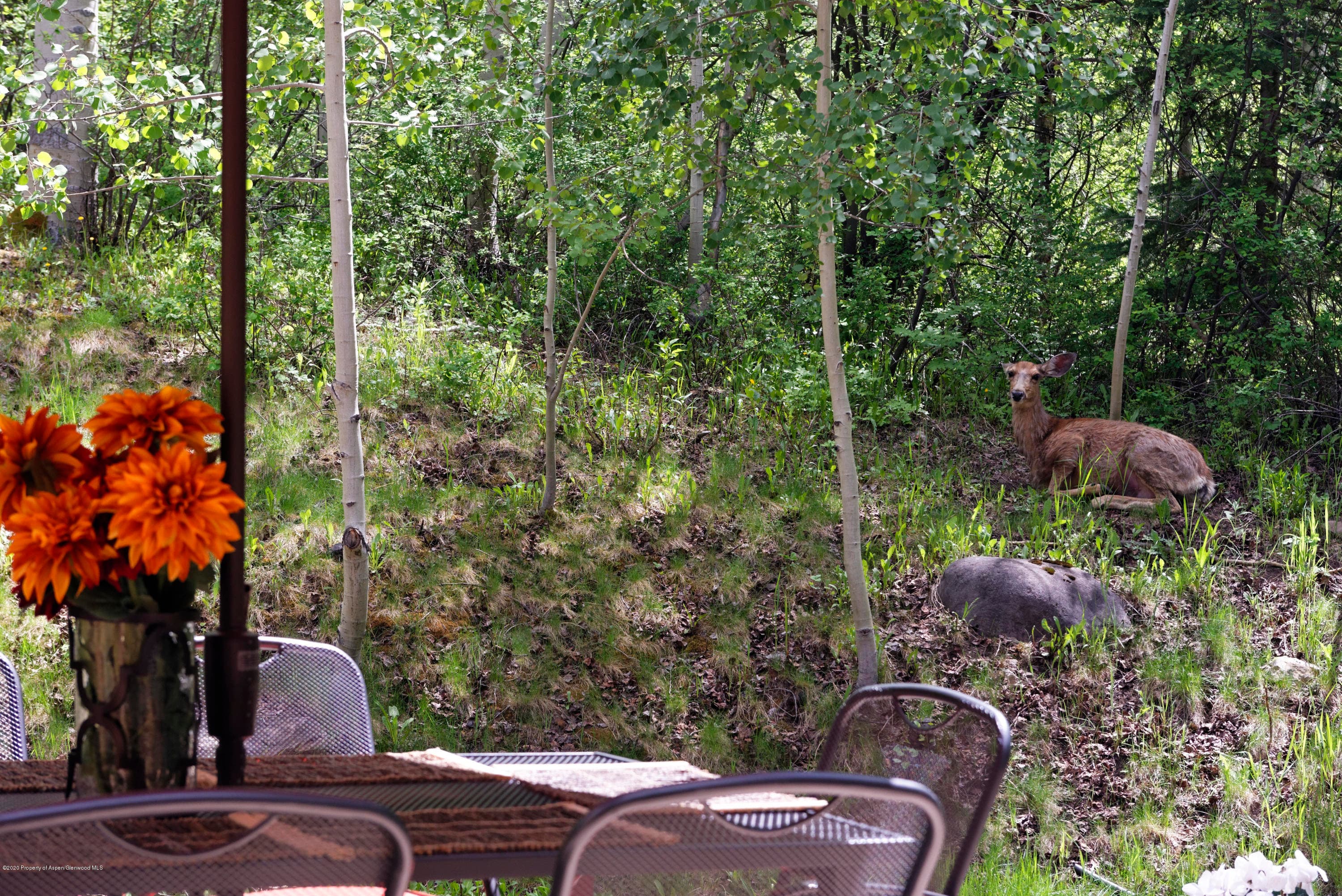 1084 Faraway Road - Photo 4