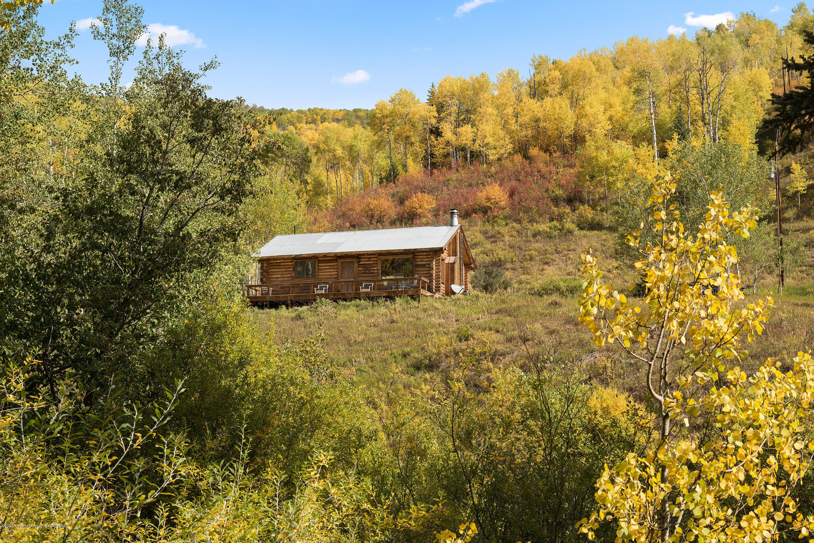 29850 Brush Creek Road - Photo 11