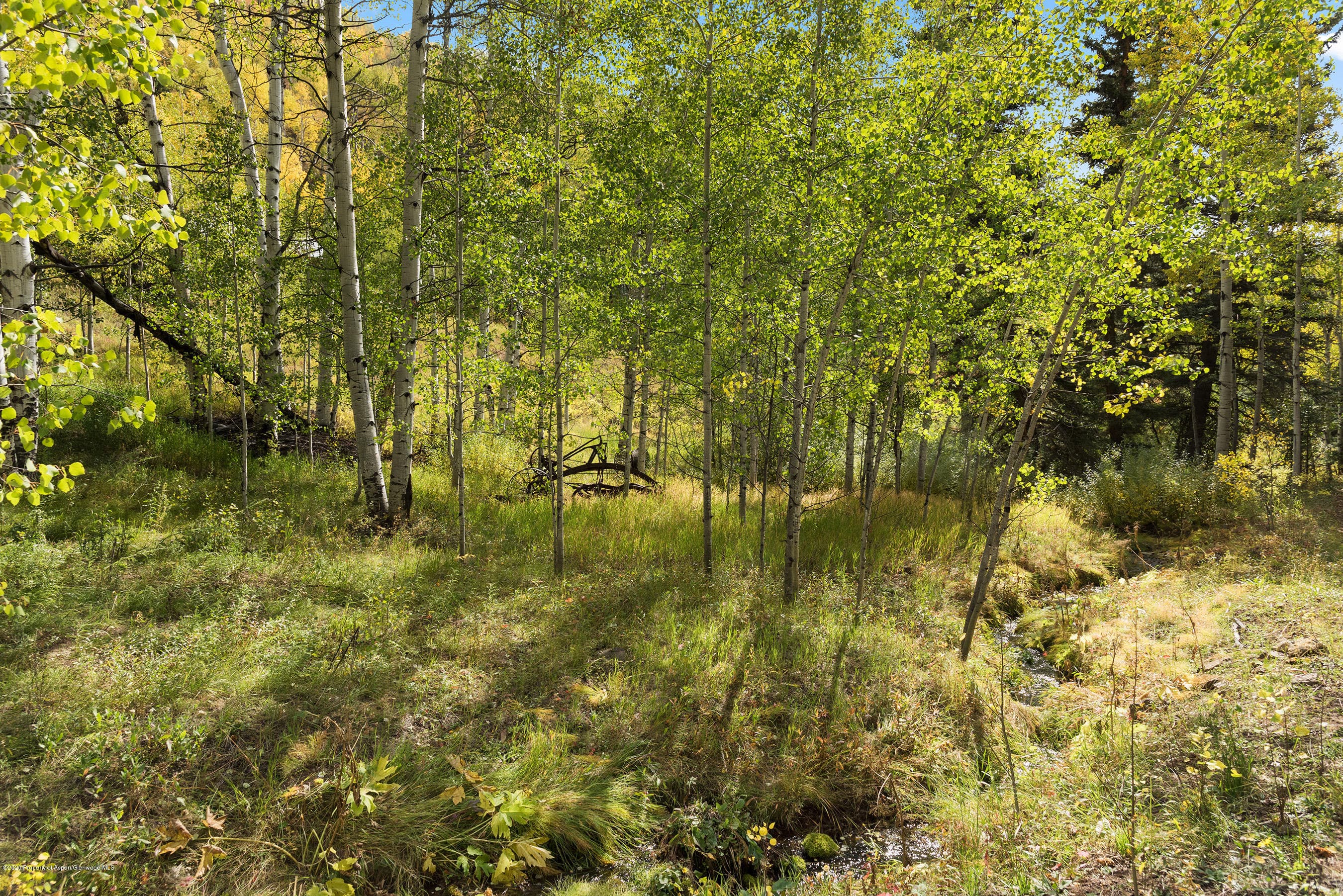 29850 Brush Creek Road - Photo 9