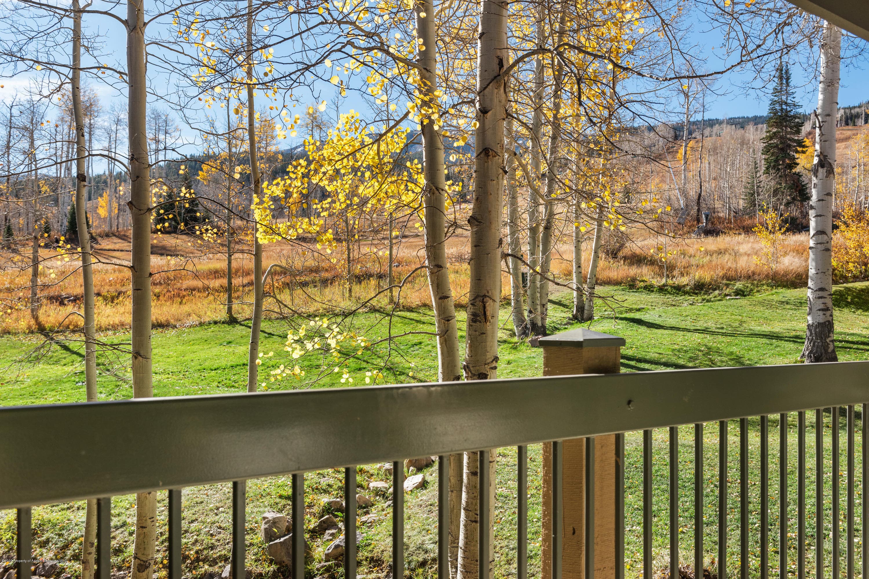 855 Carriage Way Slope 309 - Photo 4