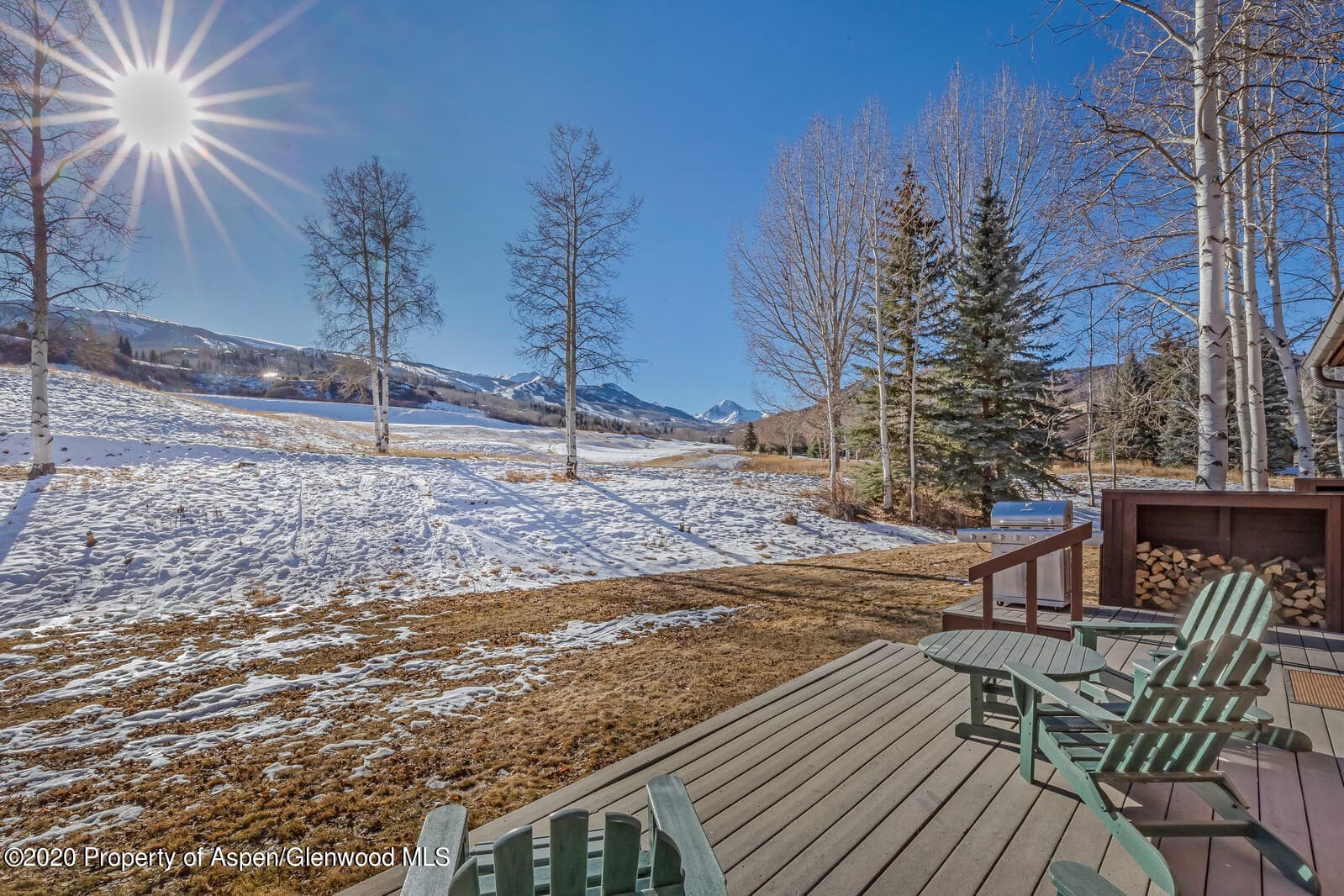 294 Snowmass Club Circle Unit 1103, Snowmass Village, CO 81615