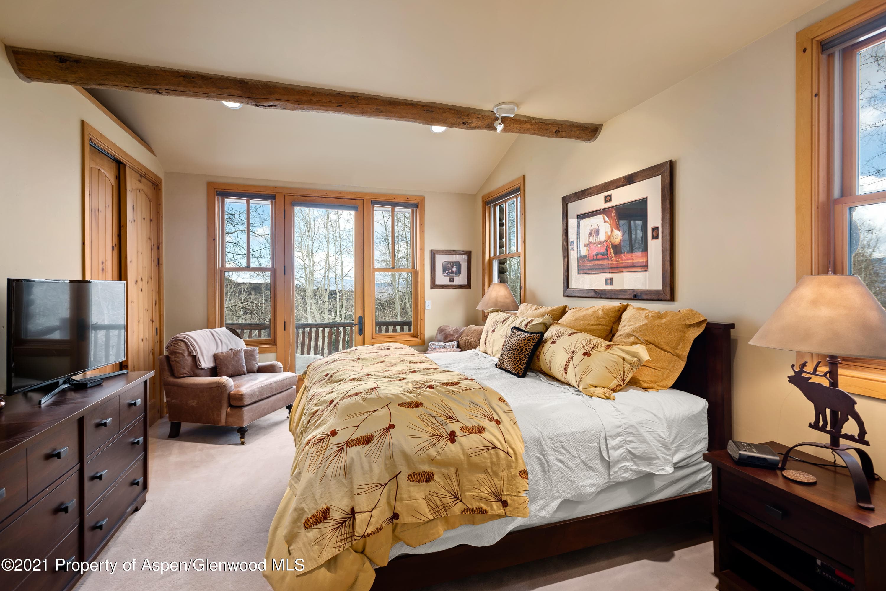 121 Antler Ridge Lane - Photo 3