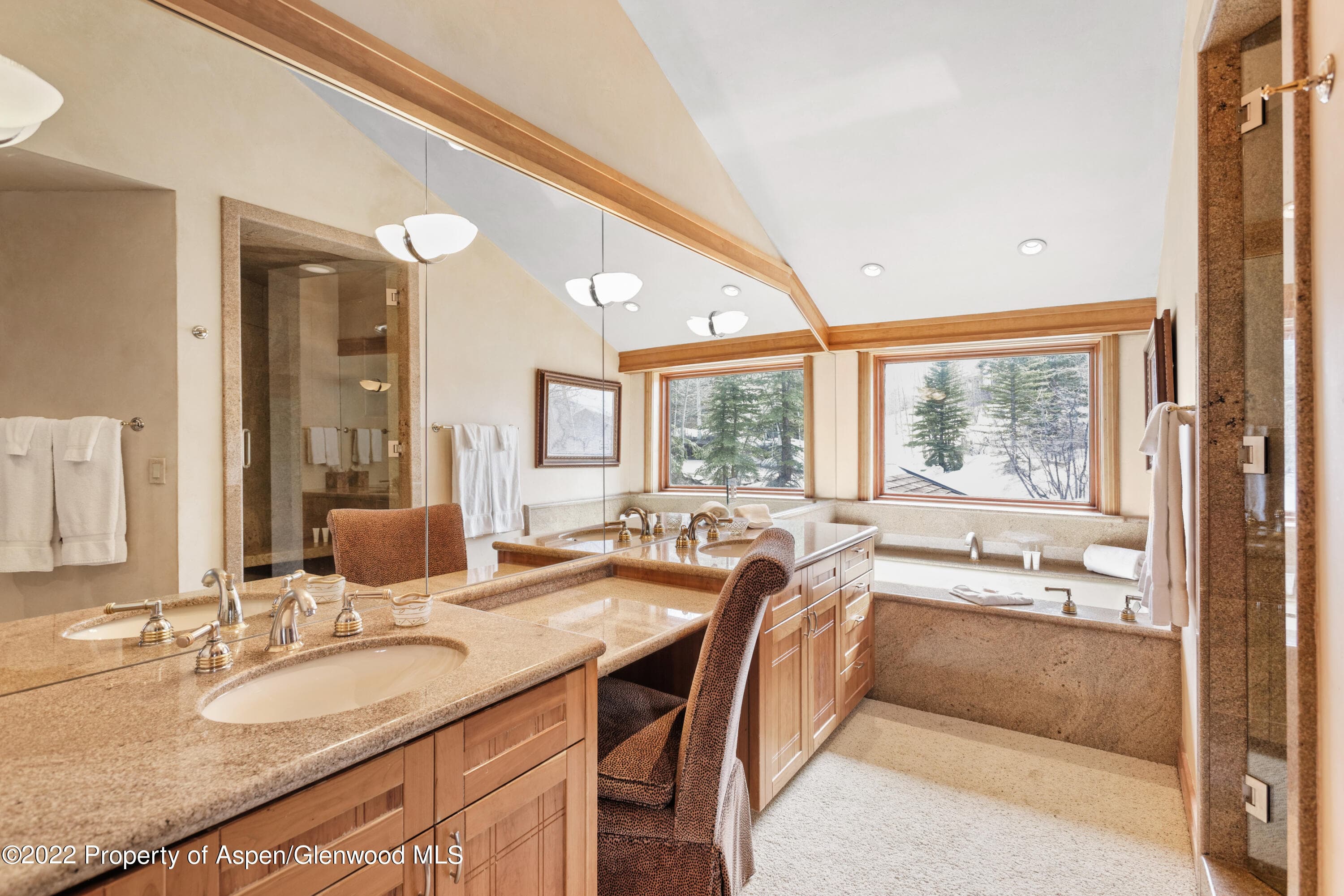61 Baby Doe Lane - Photo 12