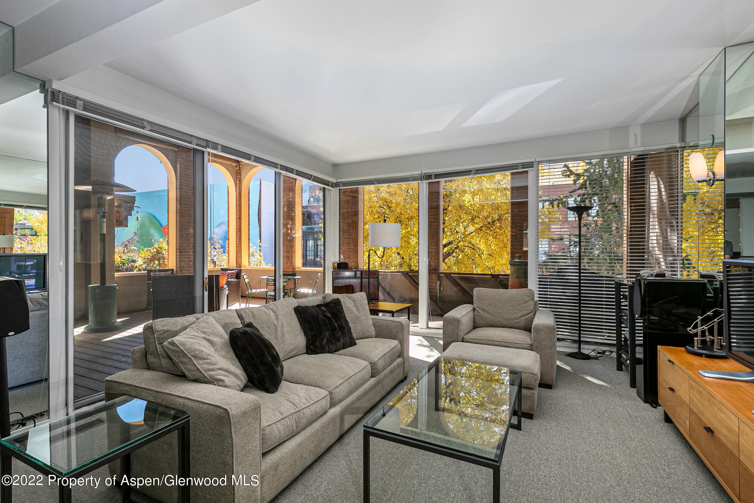 610 E Hyman Avenue Penthouse, Aspen, CO 81611
