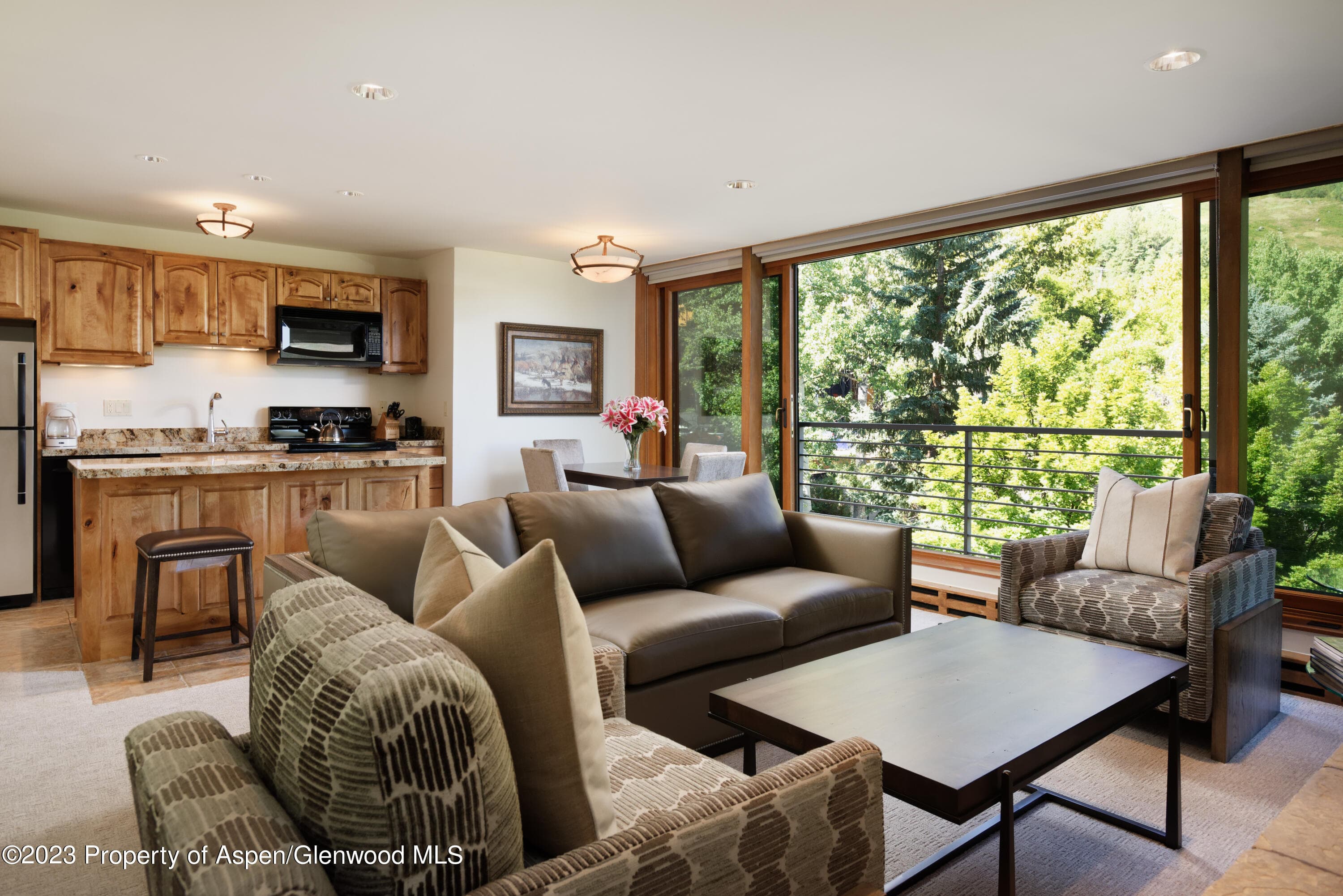 728 S Galena Street B201, Aspen, CO 81611 - Photo 1