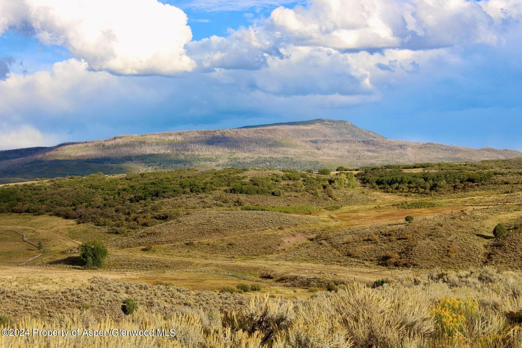 Lot 26 Coulter Lane - Photo 11