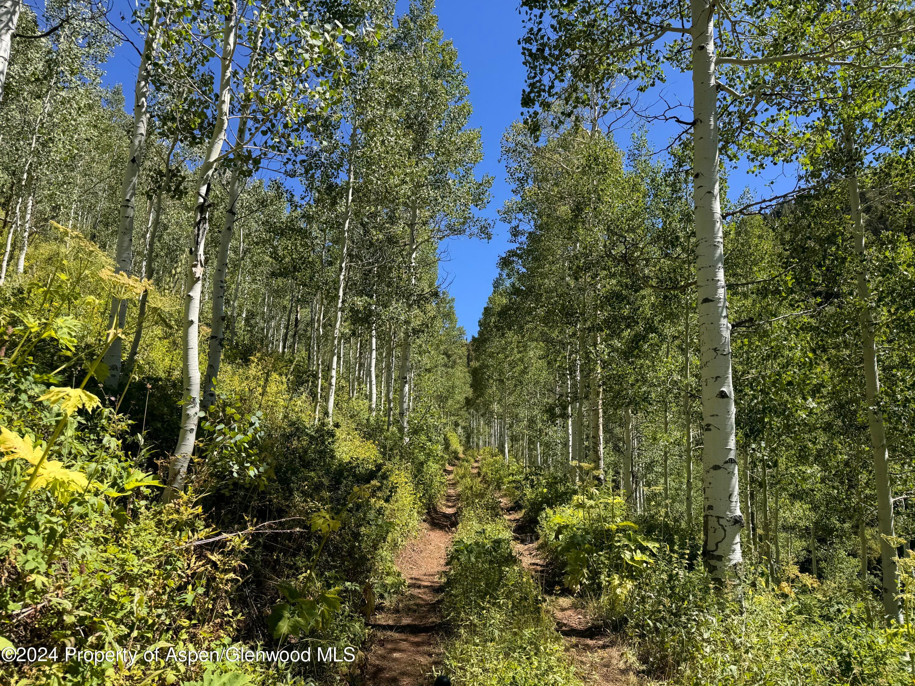 N/A F S 602 Road, Glenwood Springs, CO 81601 - Photo 1