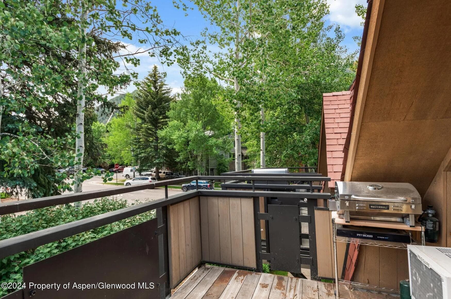 108 W Hyman Avenue 2, Aspen, CO 81611 - Photo 1