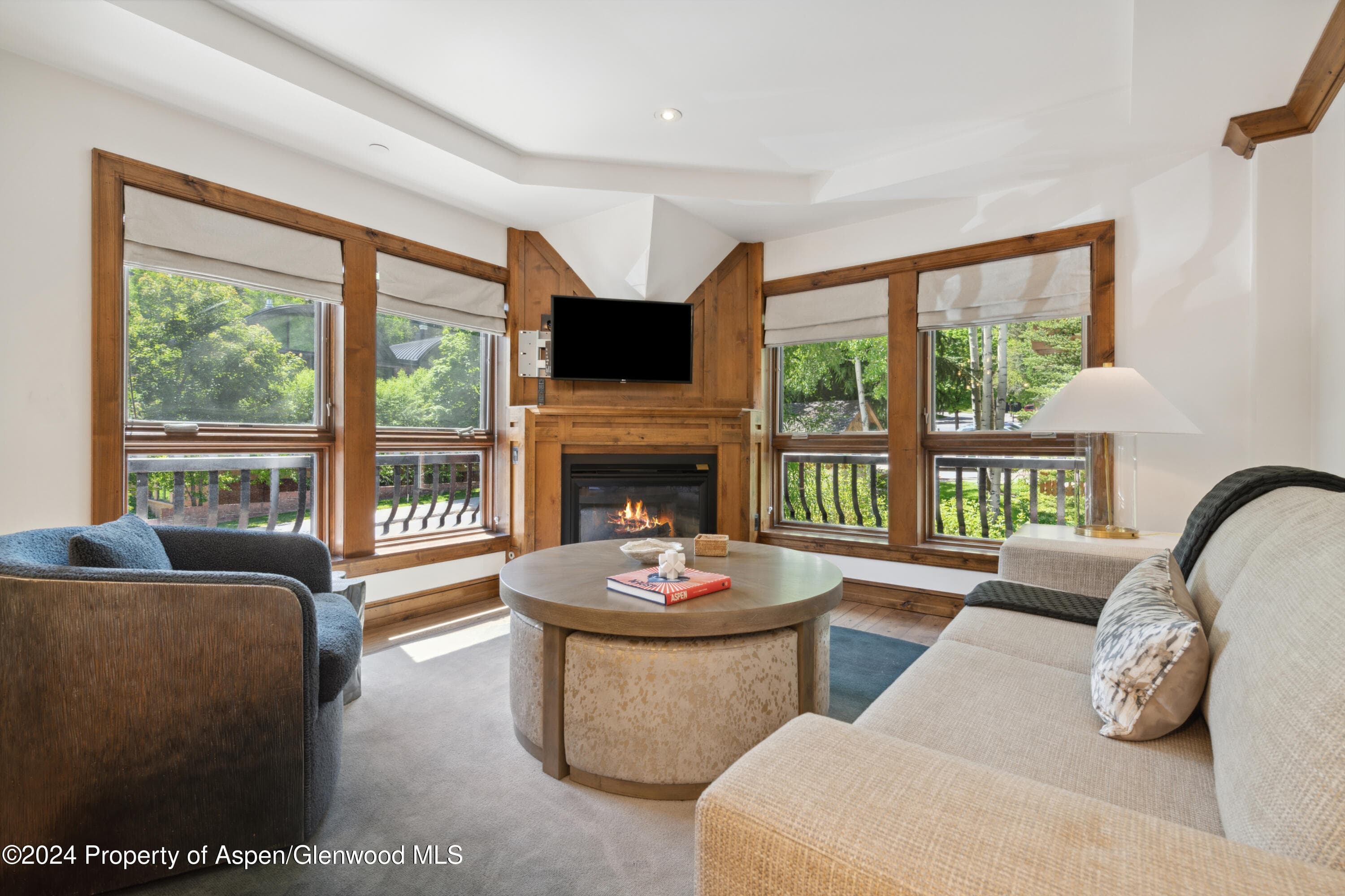415 E Dean Street 44abc Weeks 51/52, Aspen, CO 81611 - Photo 1