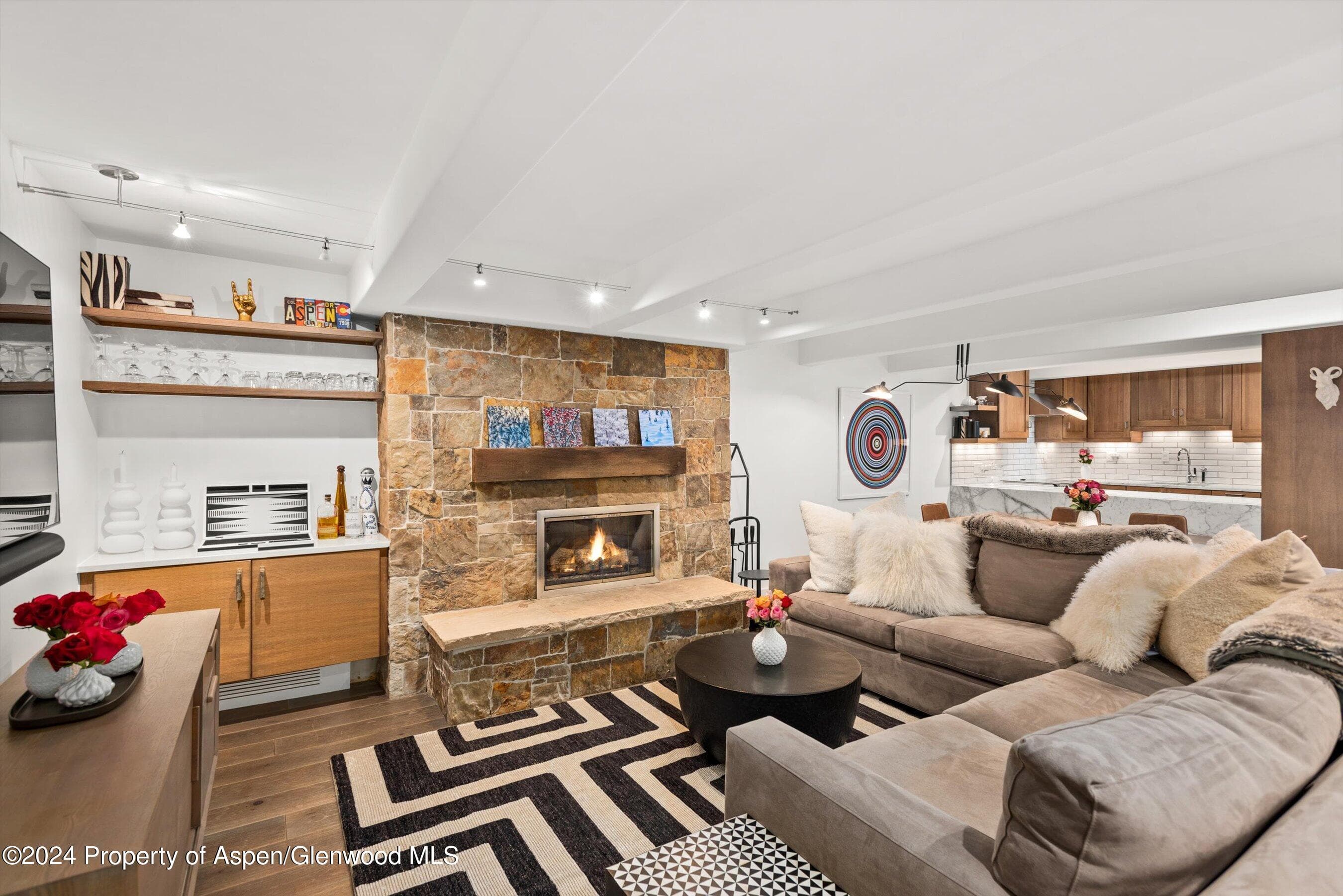 124 W Hyman Avenue 3D, Aspen, CO 81611 - Photo 1