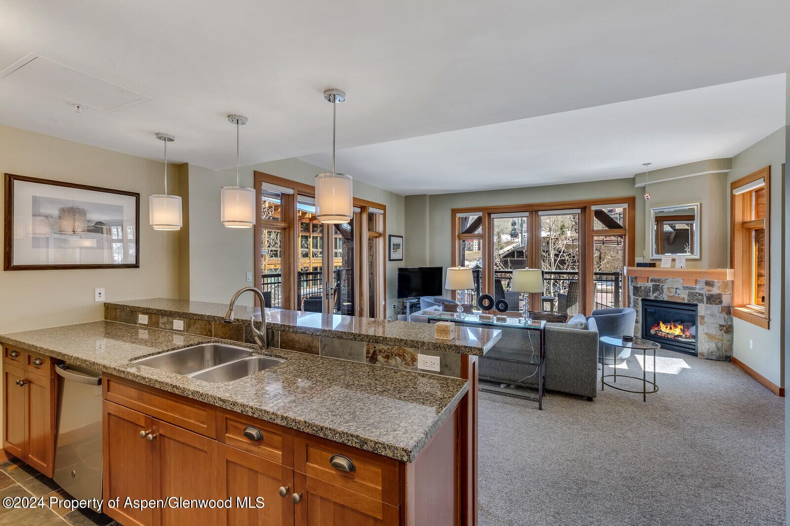 110 Carriage Way 3210 - Photo 5