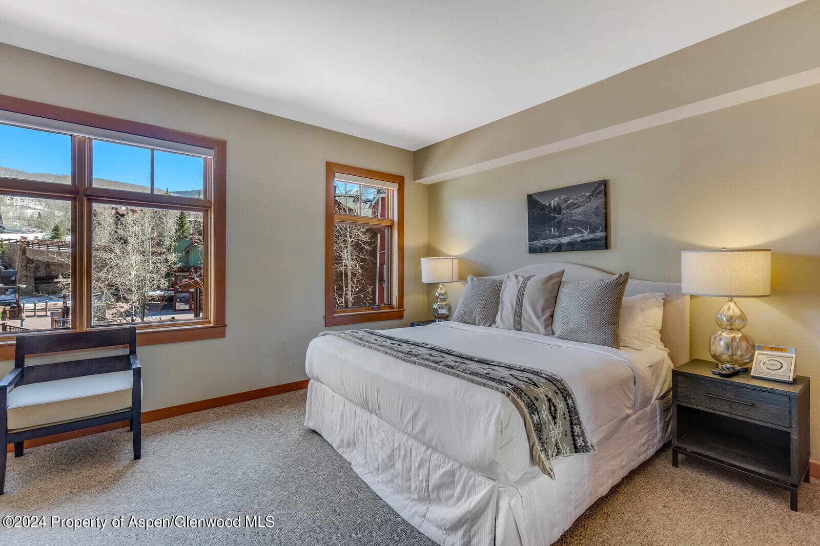 110 Carriage Way 3210 - Photo 11