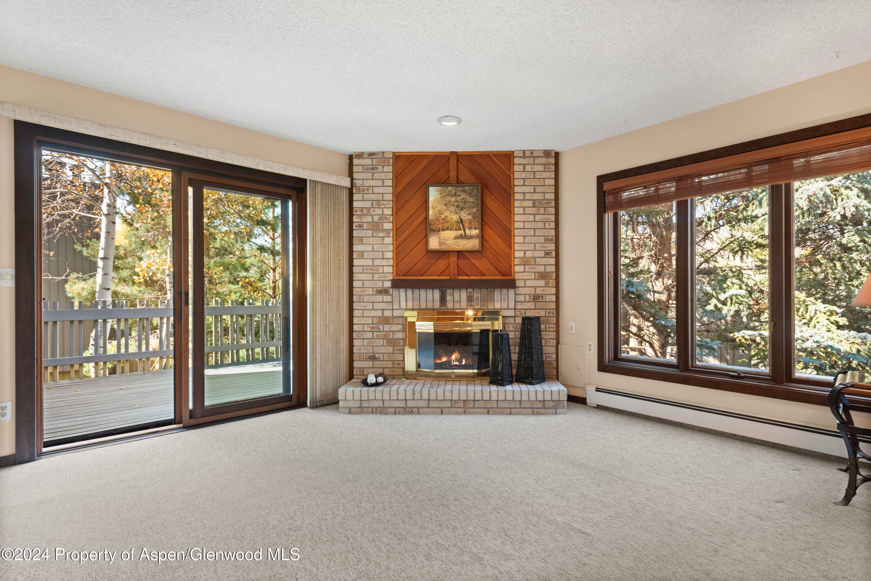211 Meadow Ranch Drive D5A - Photo 5