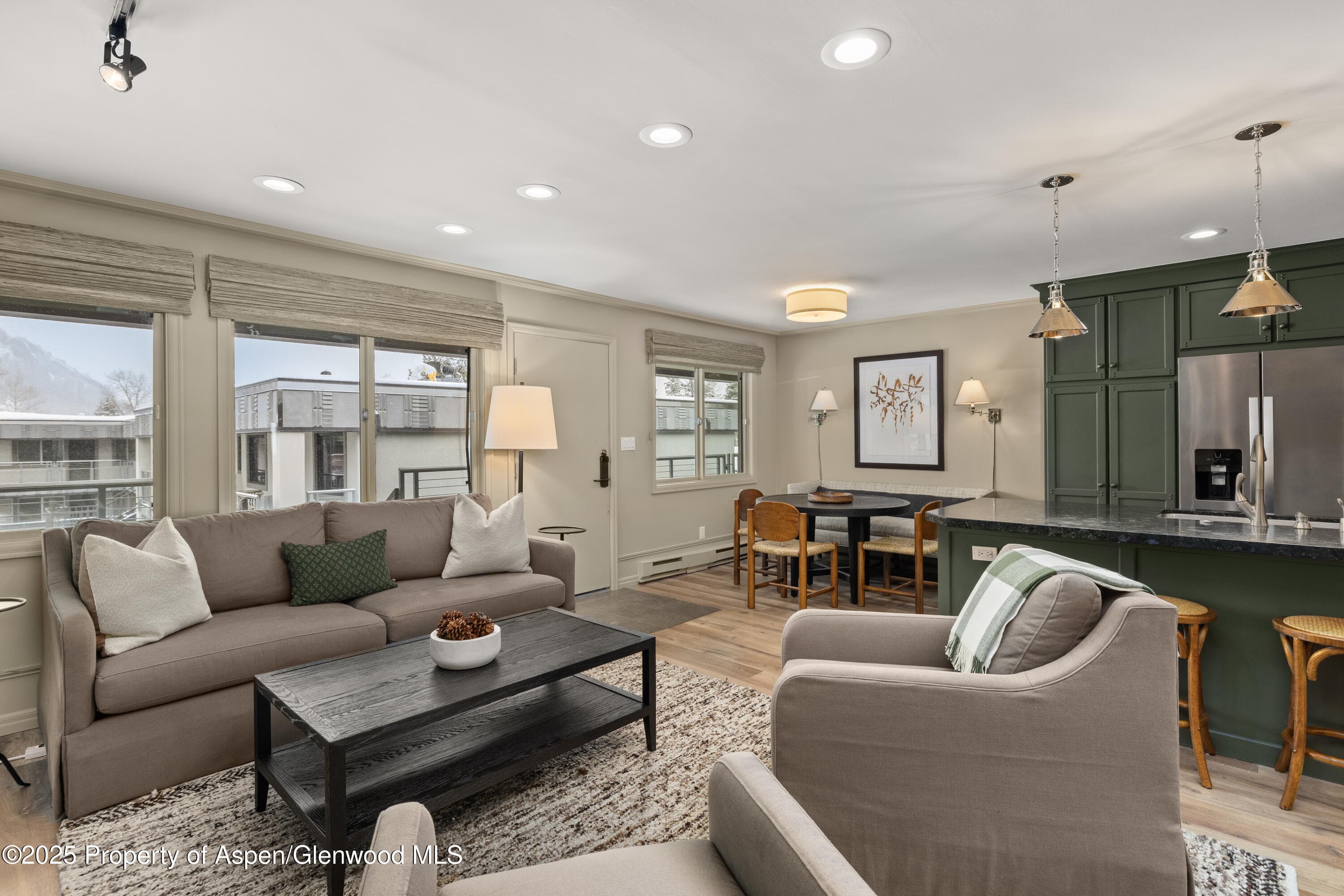940 Waters Avenue 309, Aspen, CO 81611 - Photo 1