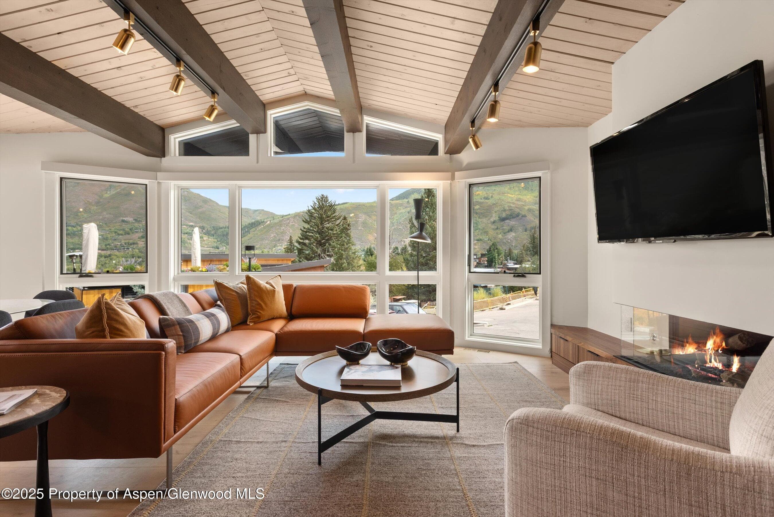 809 S Aspen Street 2, Aspen, CO 81611 - Photo 1