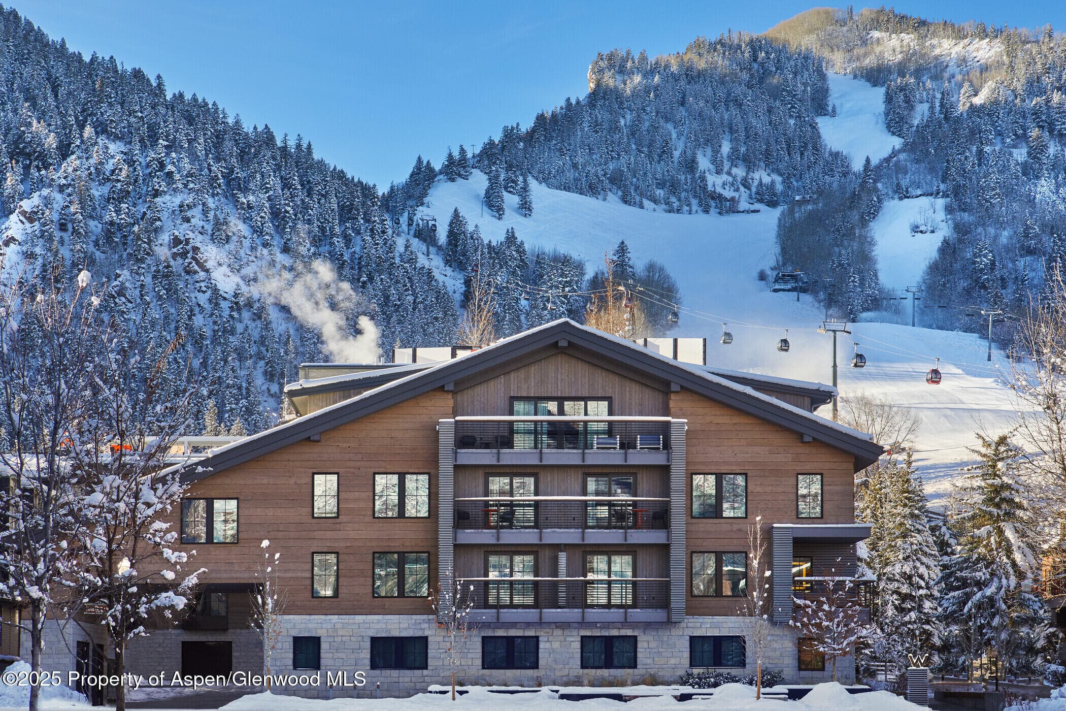 550 S Spring Street F2-1, Aspen, CO 81611 - Photo 1