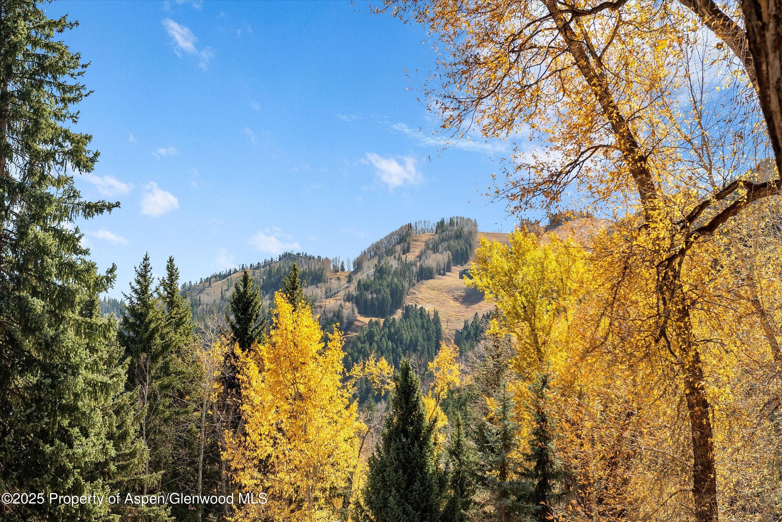 602 W Hallam Street, Aspen, CO 81611 - Photo 1