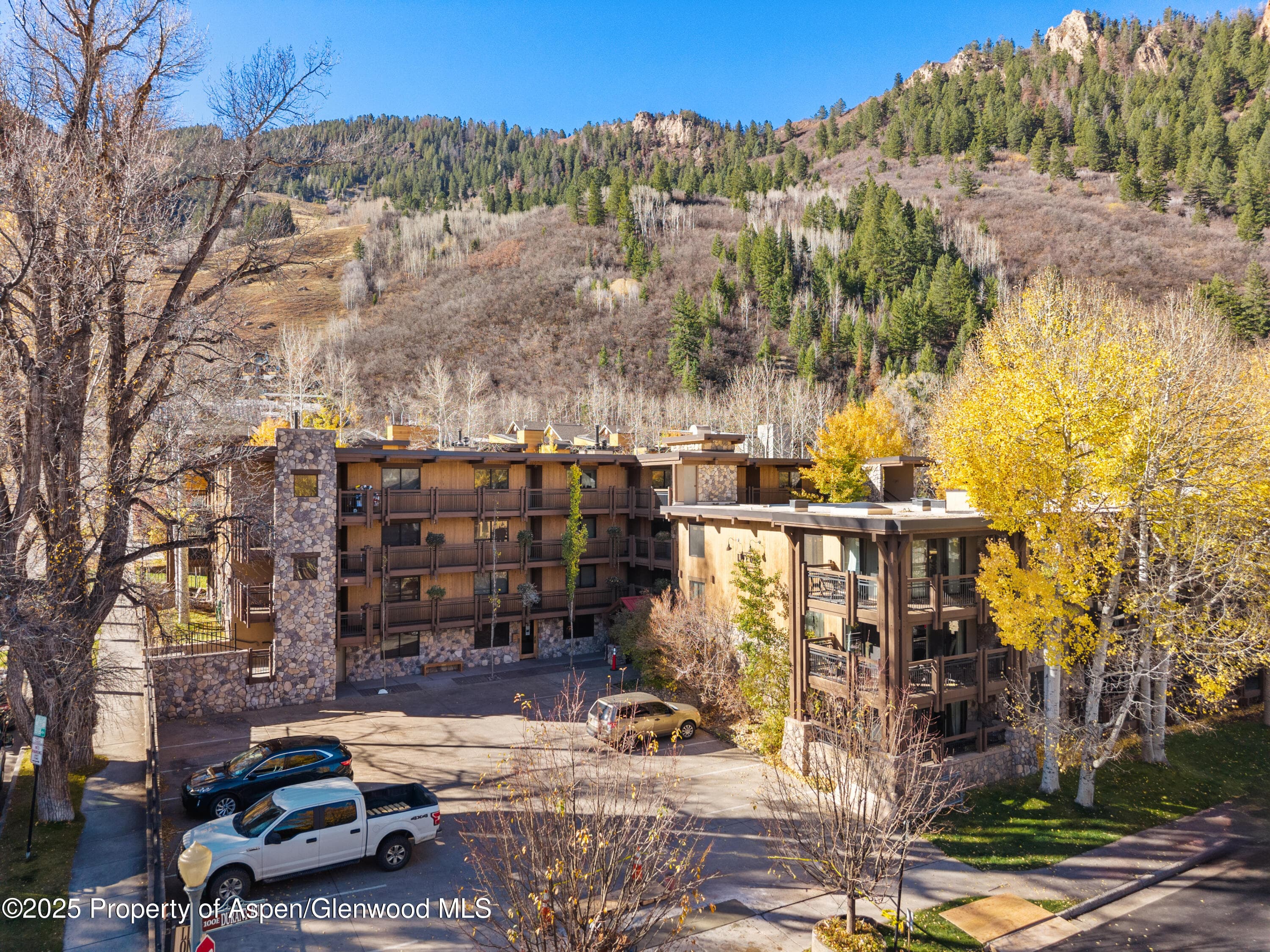 131 E Durant Avenue 202, Aspen, CO 81611 - Photo 1