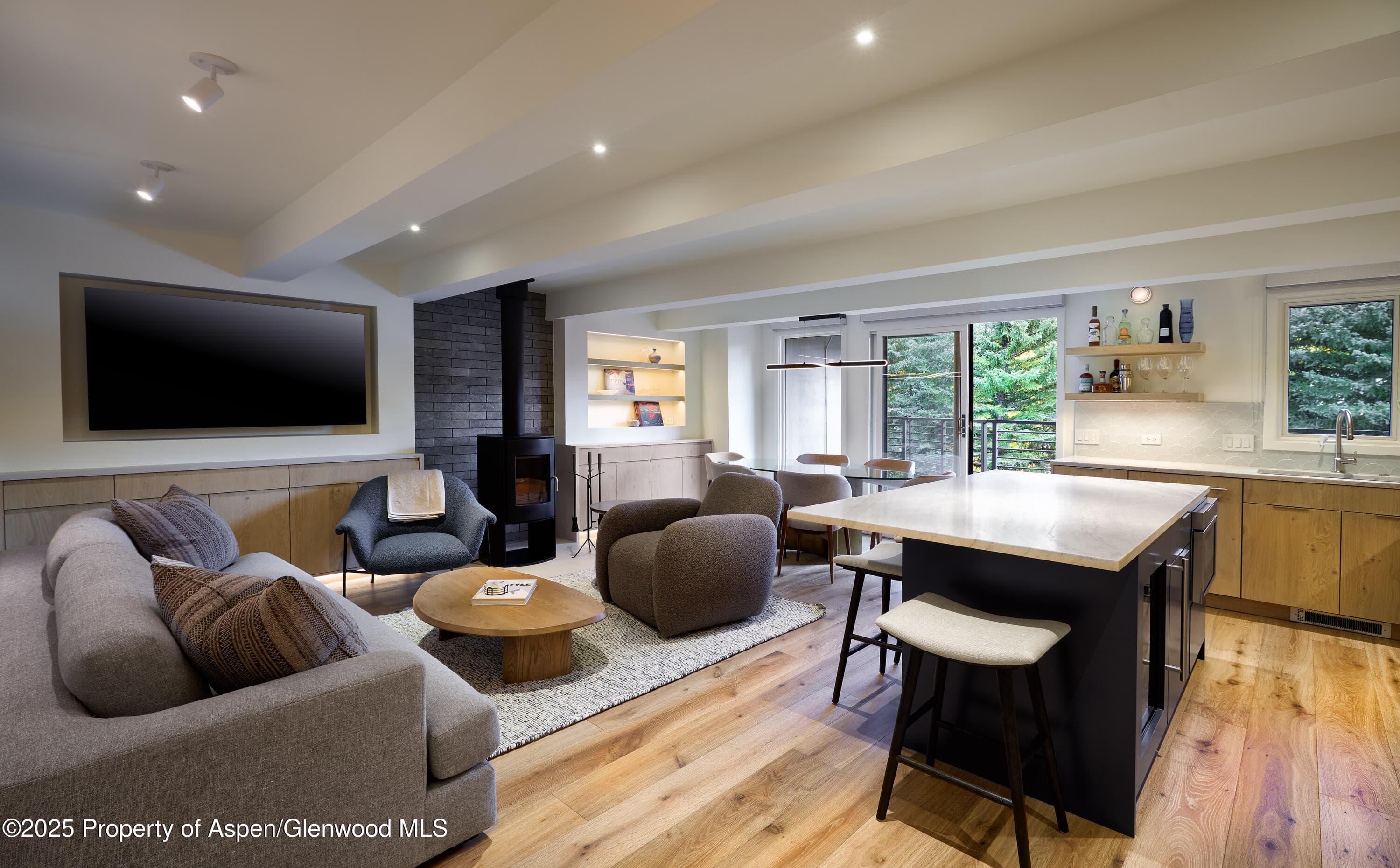 1039 E Cooper Avenue 14A, Aspen, CO 81611 - Photo 1