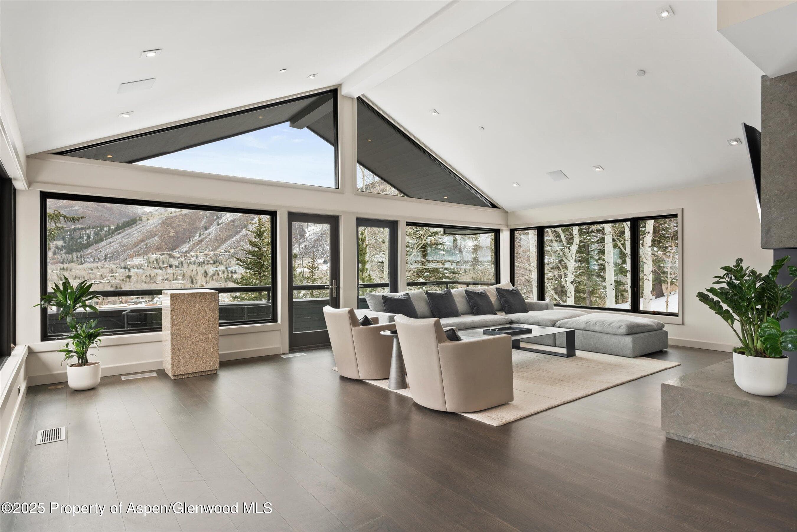 730 S Galena Street, Aspen, CO 81611 - Photo 1