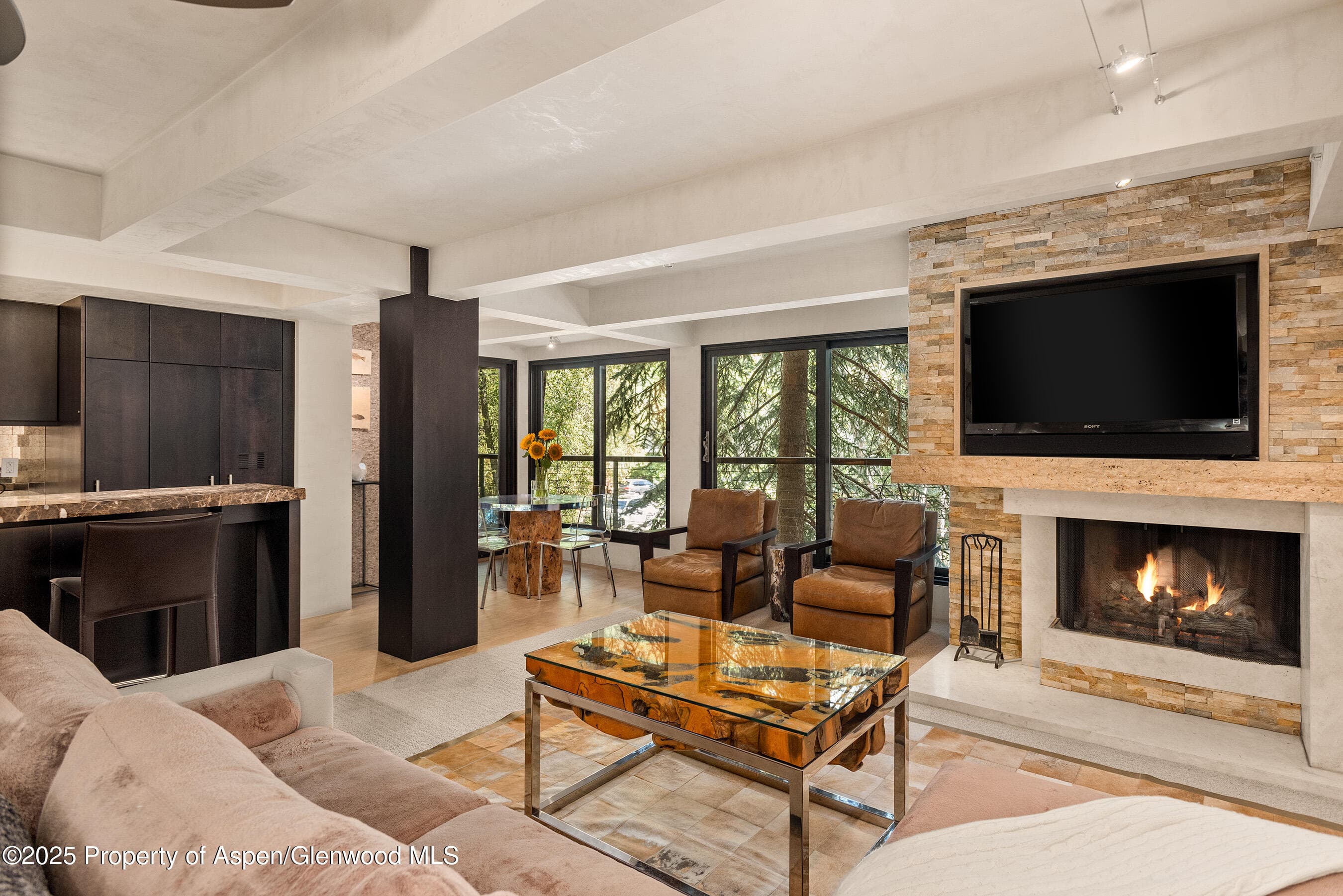 1034 E Cooper Avenue 26, Aspen, CO 81611 - Photo 1