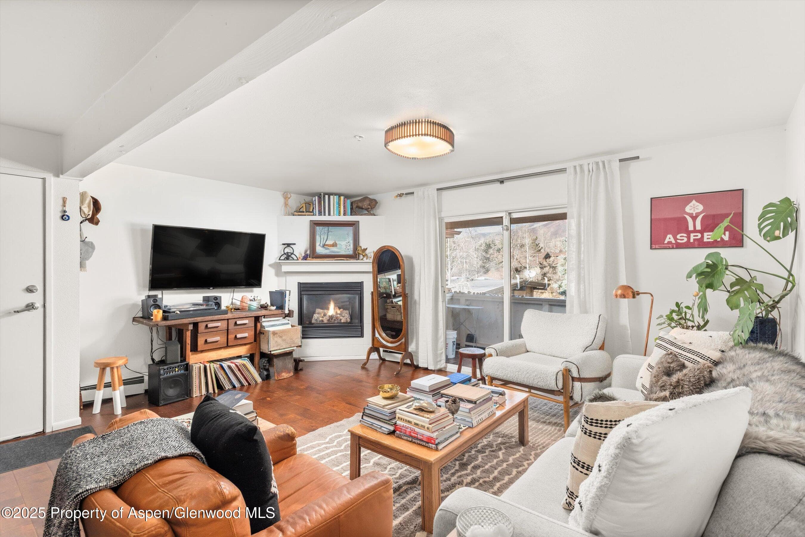 326 Midland Avenue 308, Aspen, CO 81611 - Photo 1