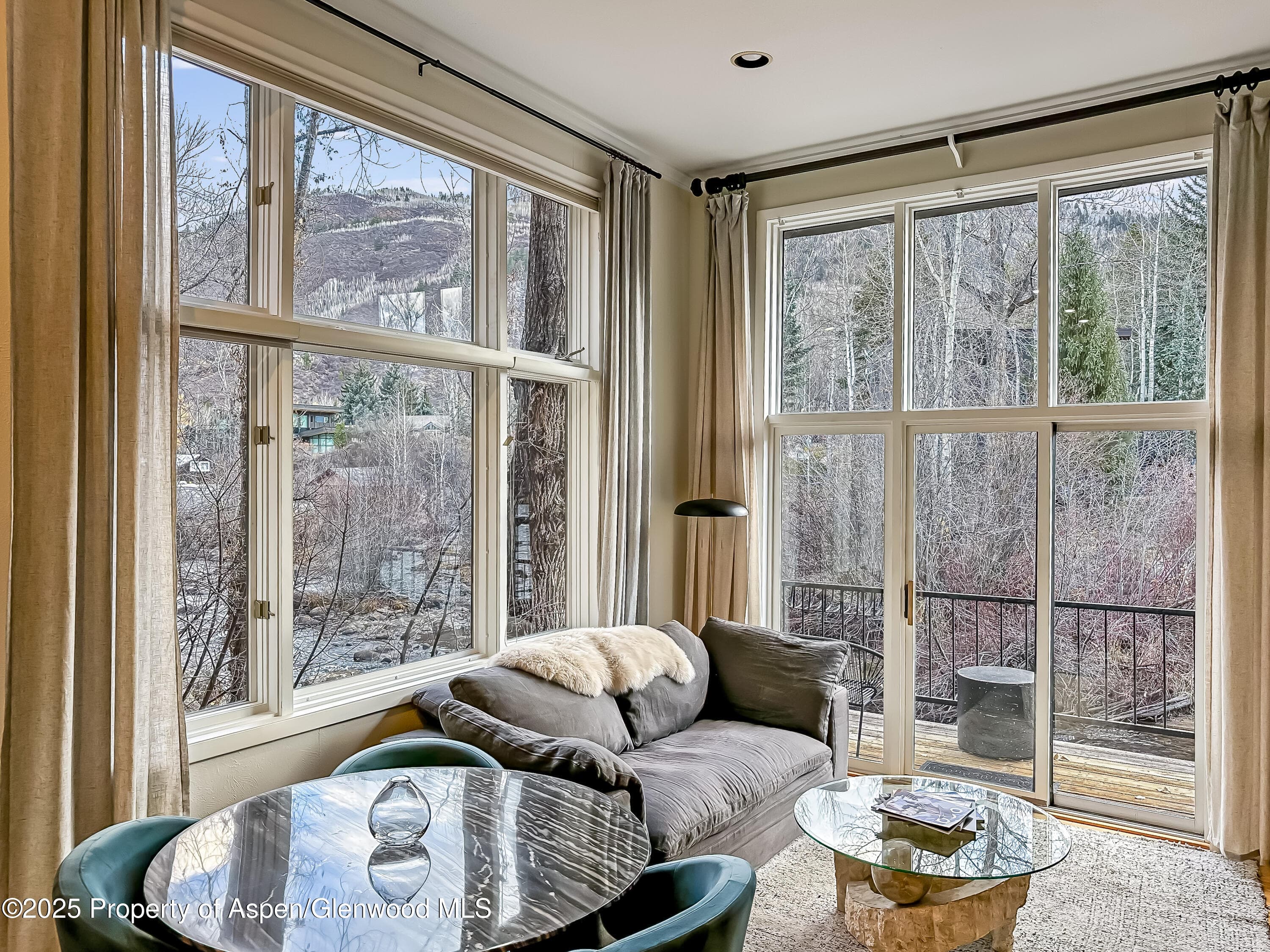 1050 Waters Avenue 9, Aspen, CO 81611 - Photo 1