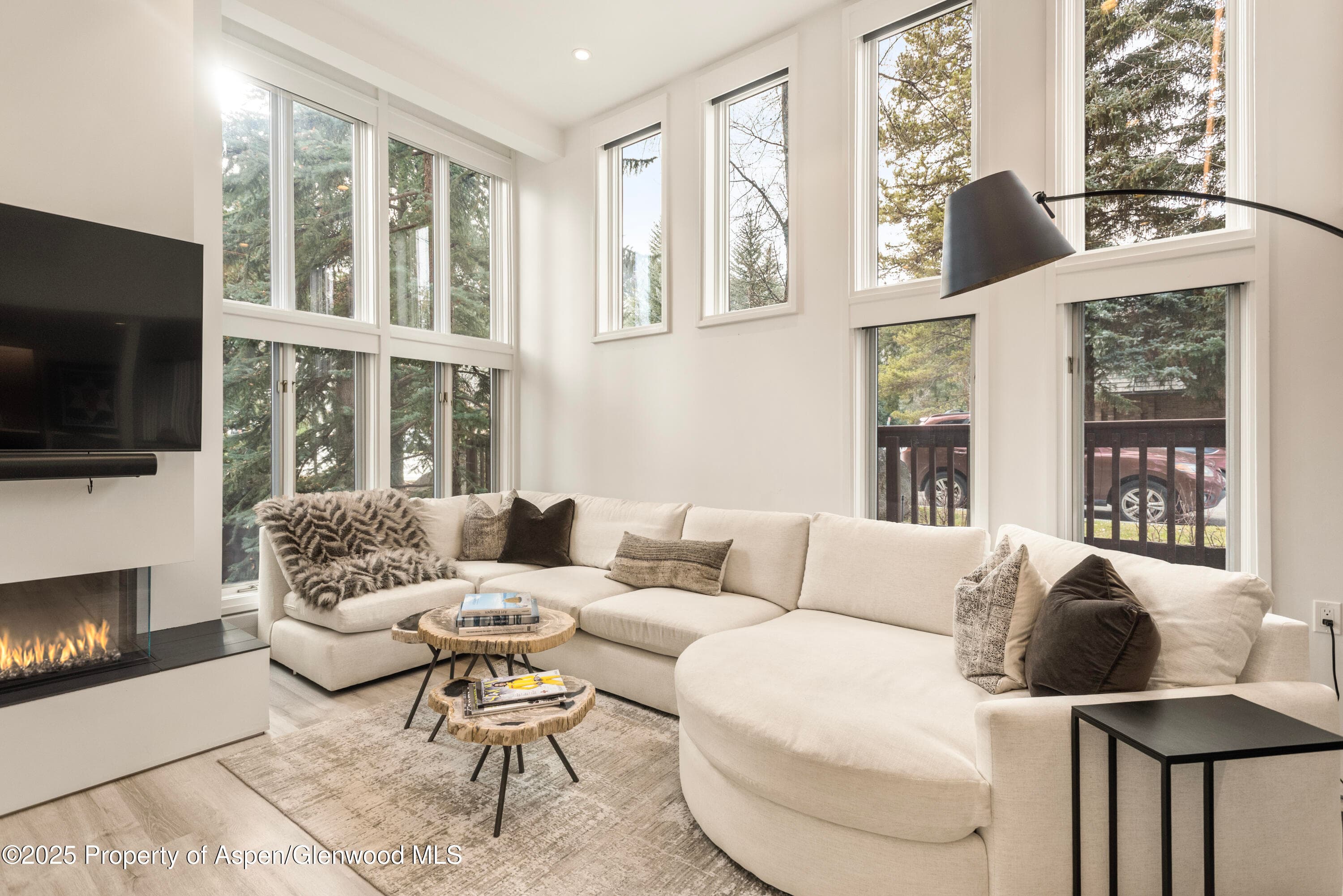 900 E Durant Avenue #103, Aspen, CO 81611 - Photo 1