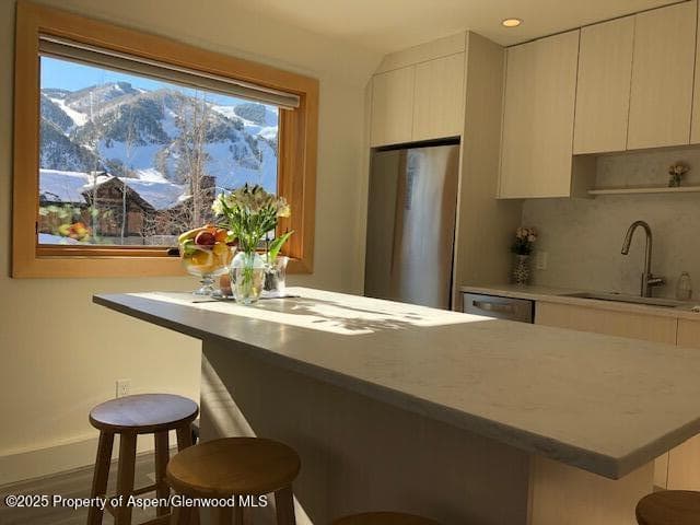 1136 Vine Street 1136, Aspen, CO 81611 - Photo 1