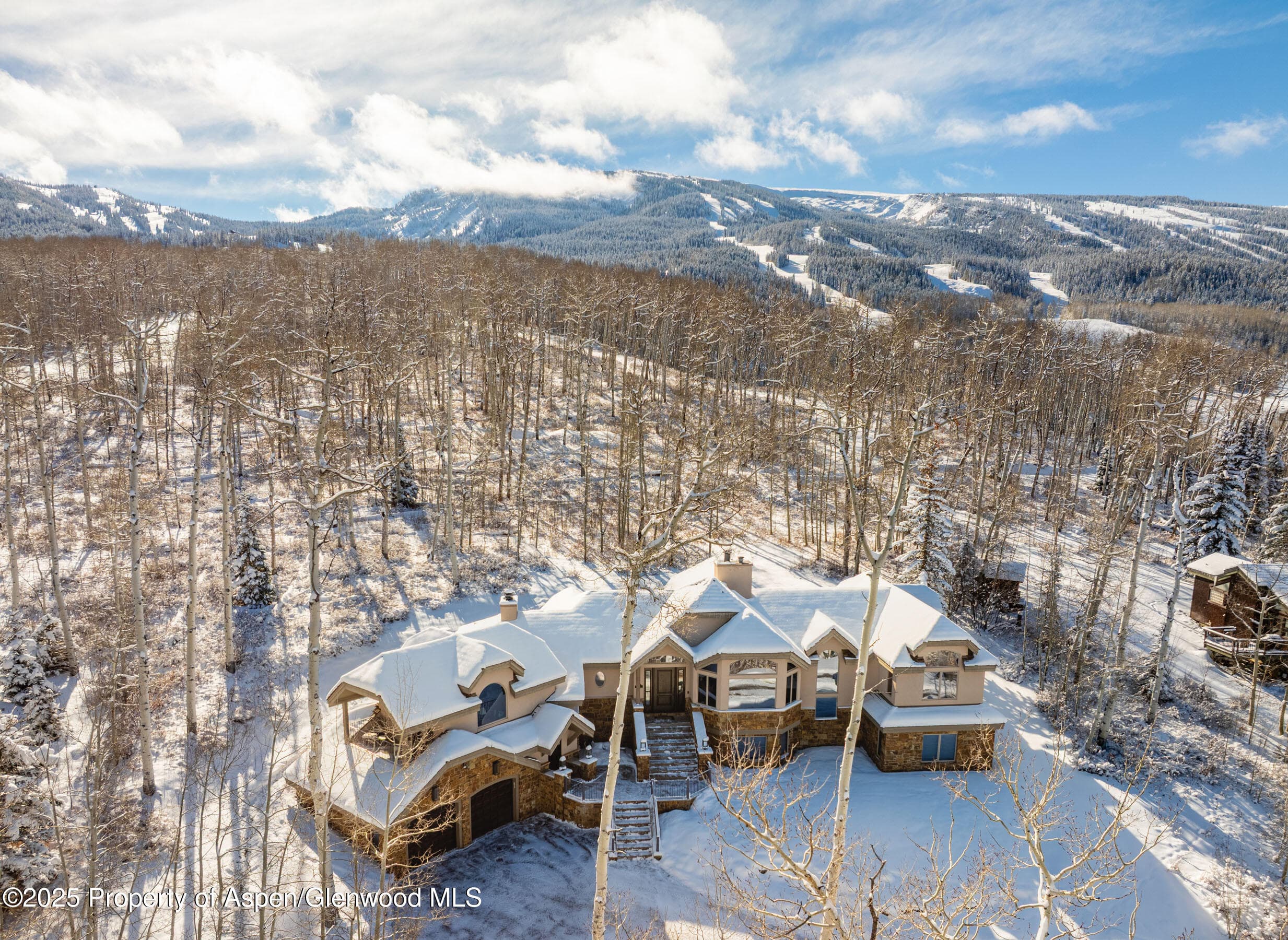 141 Baby Doe Lane, Snowmass Village, CO 81615 - Photo 1