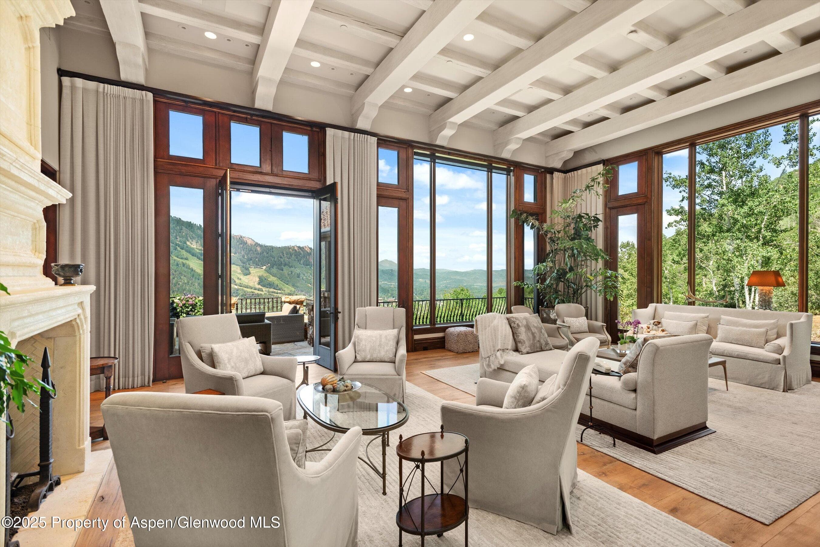663 Mountain Laurel Drive, Aspen, CO 81611 - Photo 1