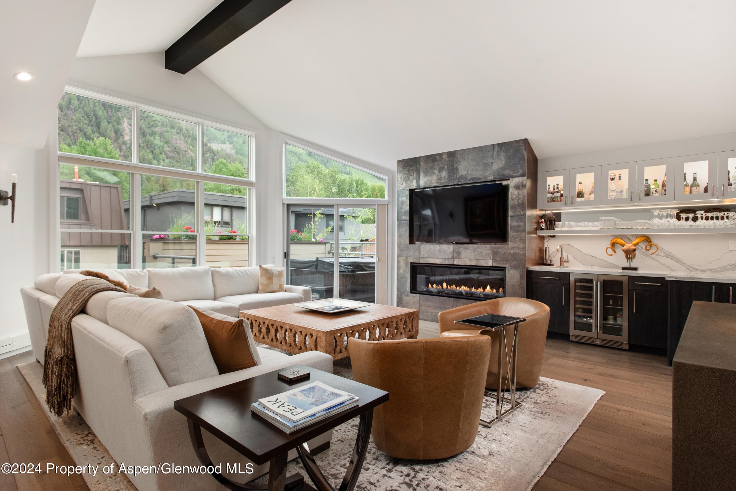 927 E Durant Avenue 3, Aspen, CO 81611 - Photo 1
