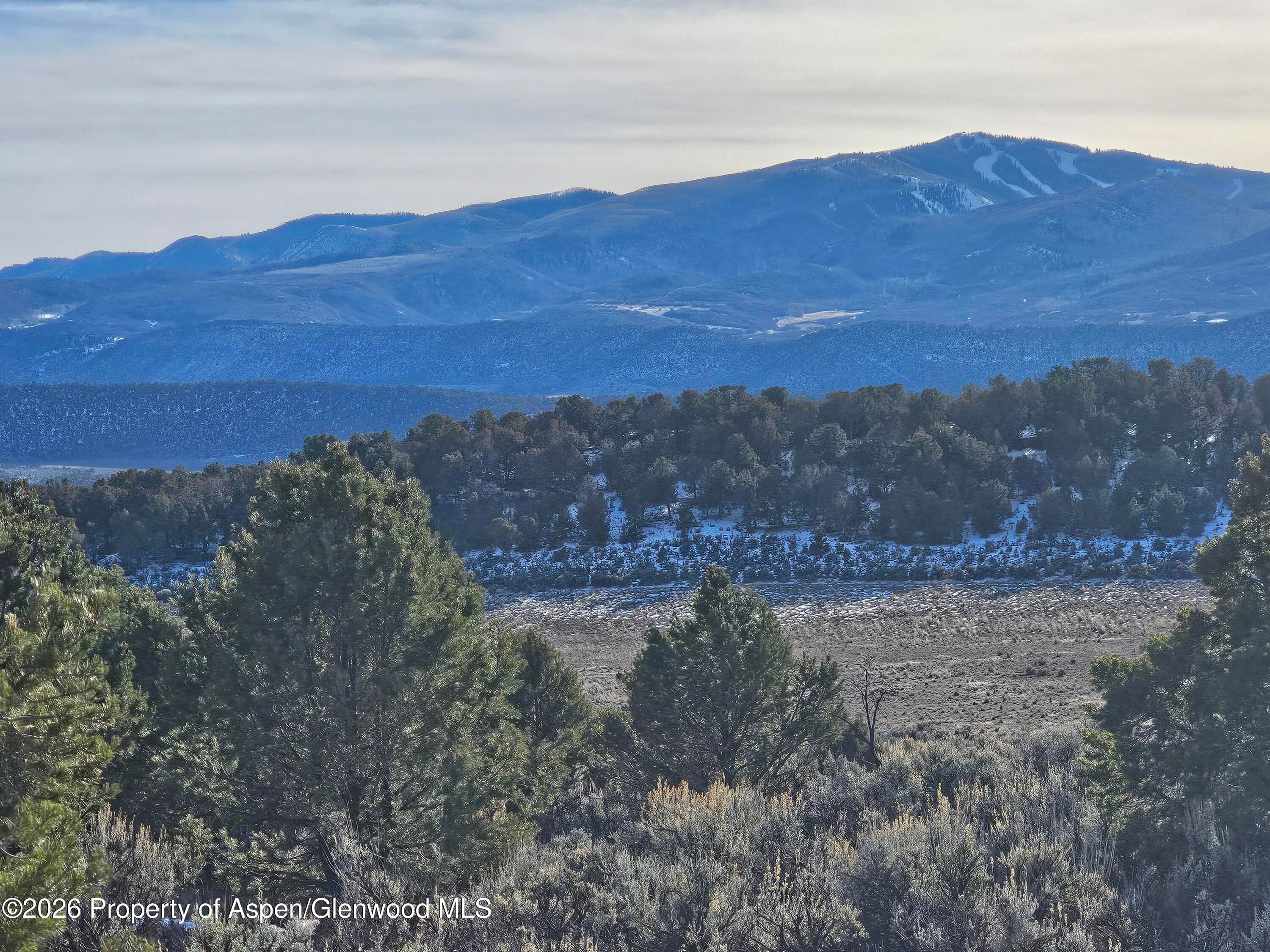 2993 Elk Springs Drive - Photo 4