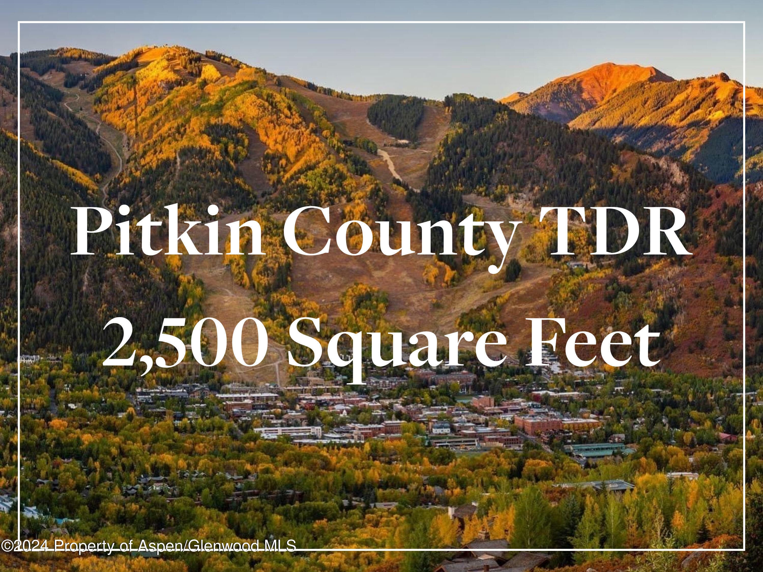 Tdr Tdr, Aspen, CO 81611 - Photo 1