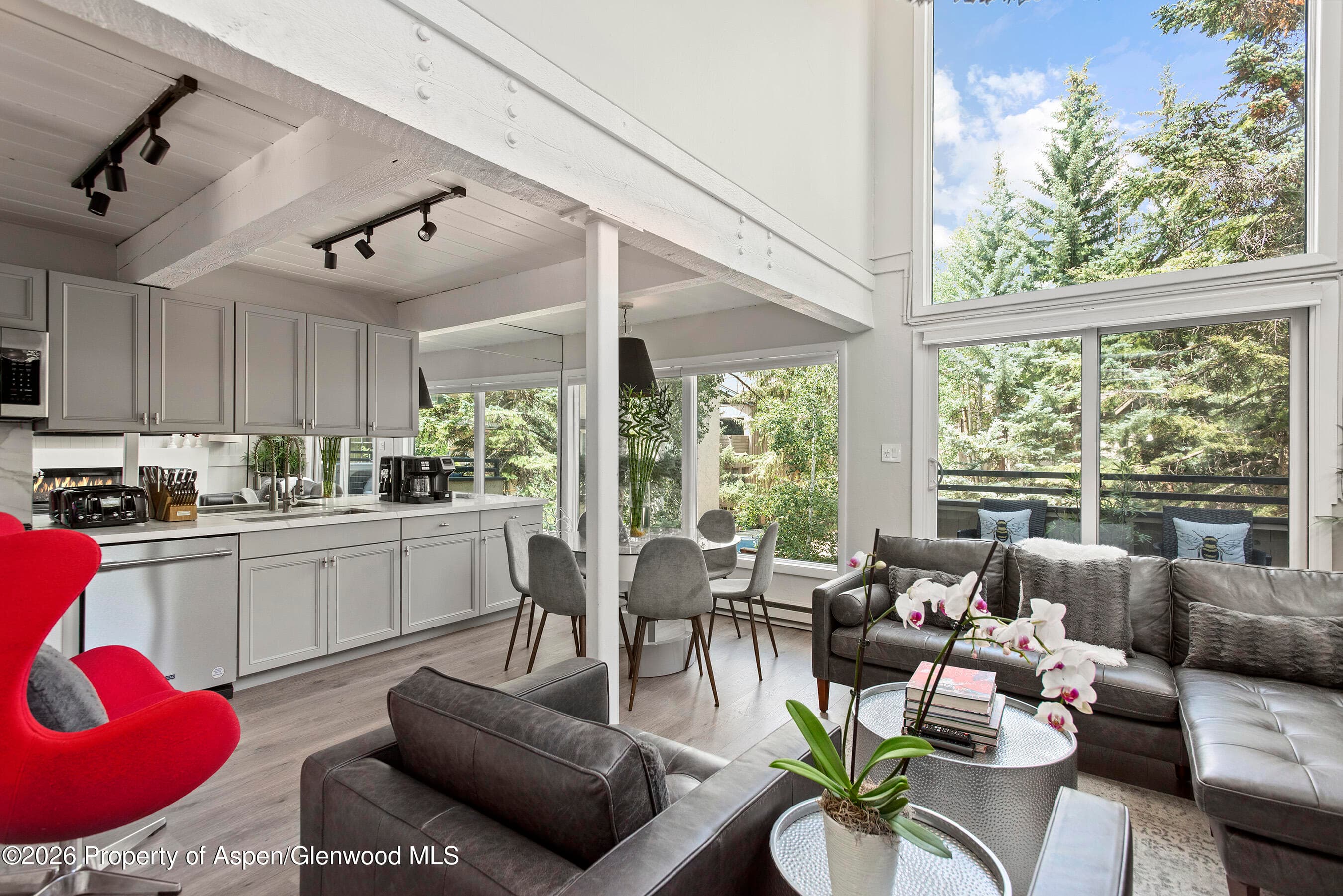 1024 E Cooper Avenue 2, Aspen, CO 81611 - Photo 1