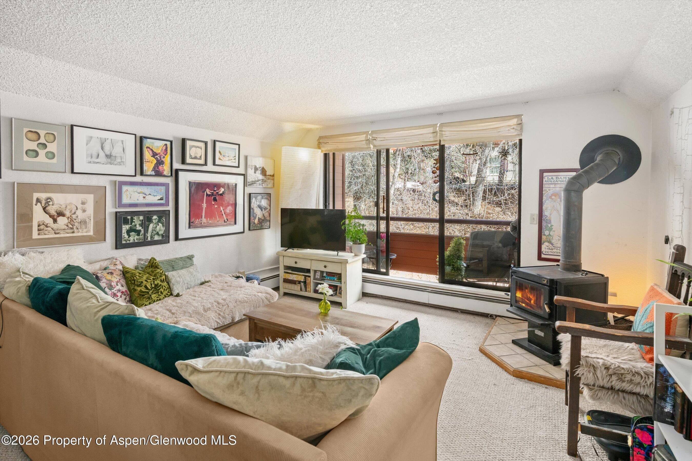 1325 Vine Street, Aspen, CO 81611 - Photo 1