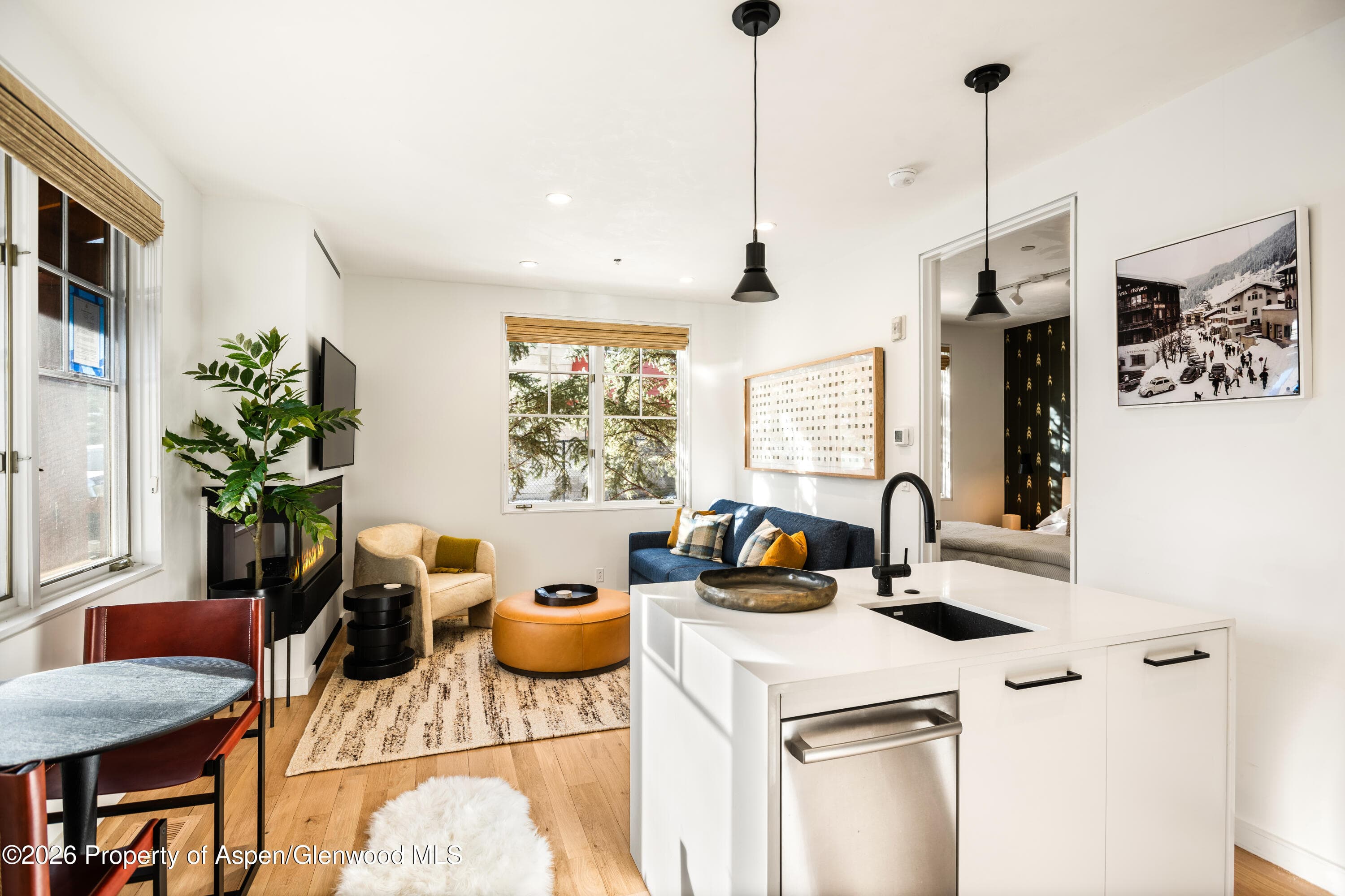 501 W Main Street A101, Aspen, CO 81611 - Photo 1
