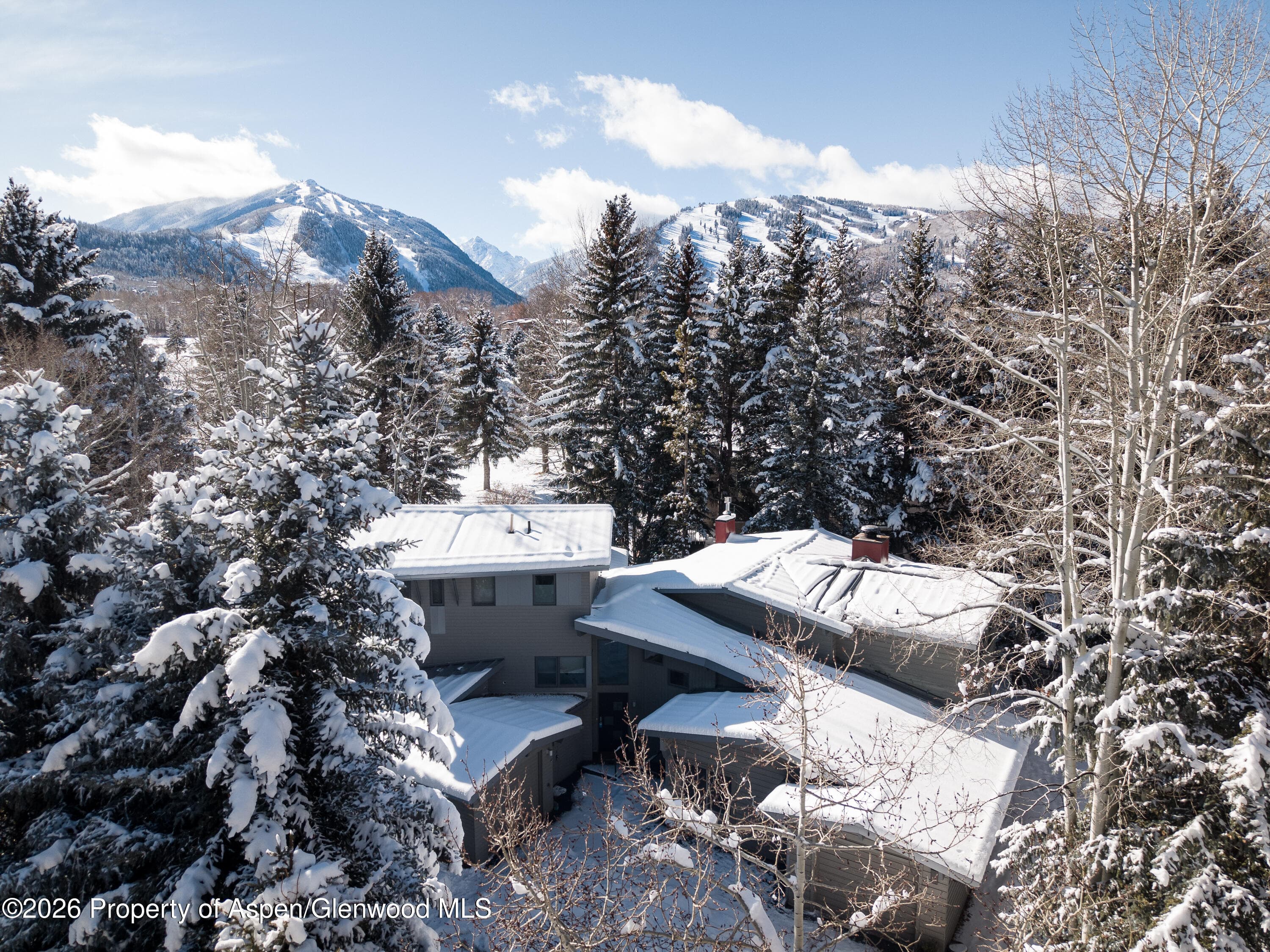 1445 Sierra Vista Drive Unit 2, Aspen, CO 81611