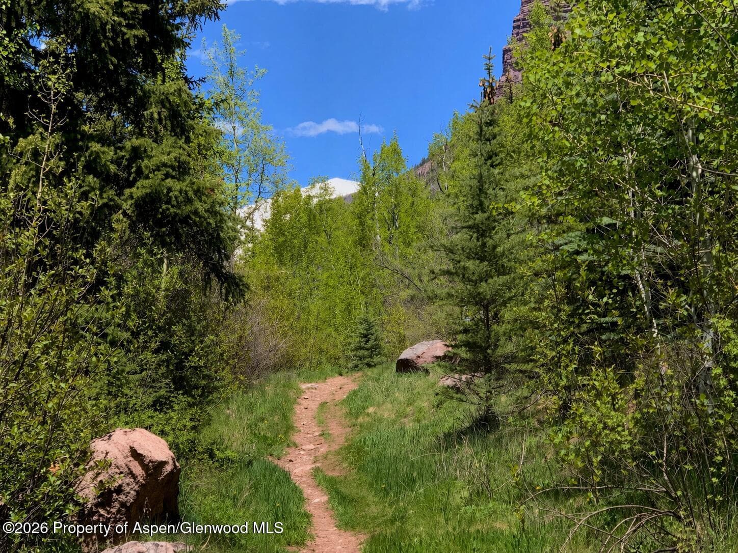 250 East Creek Road, Redstone, CO 81623 - Photo 1