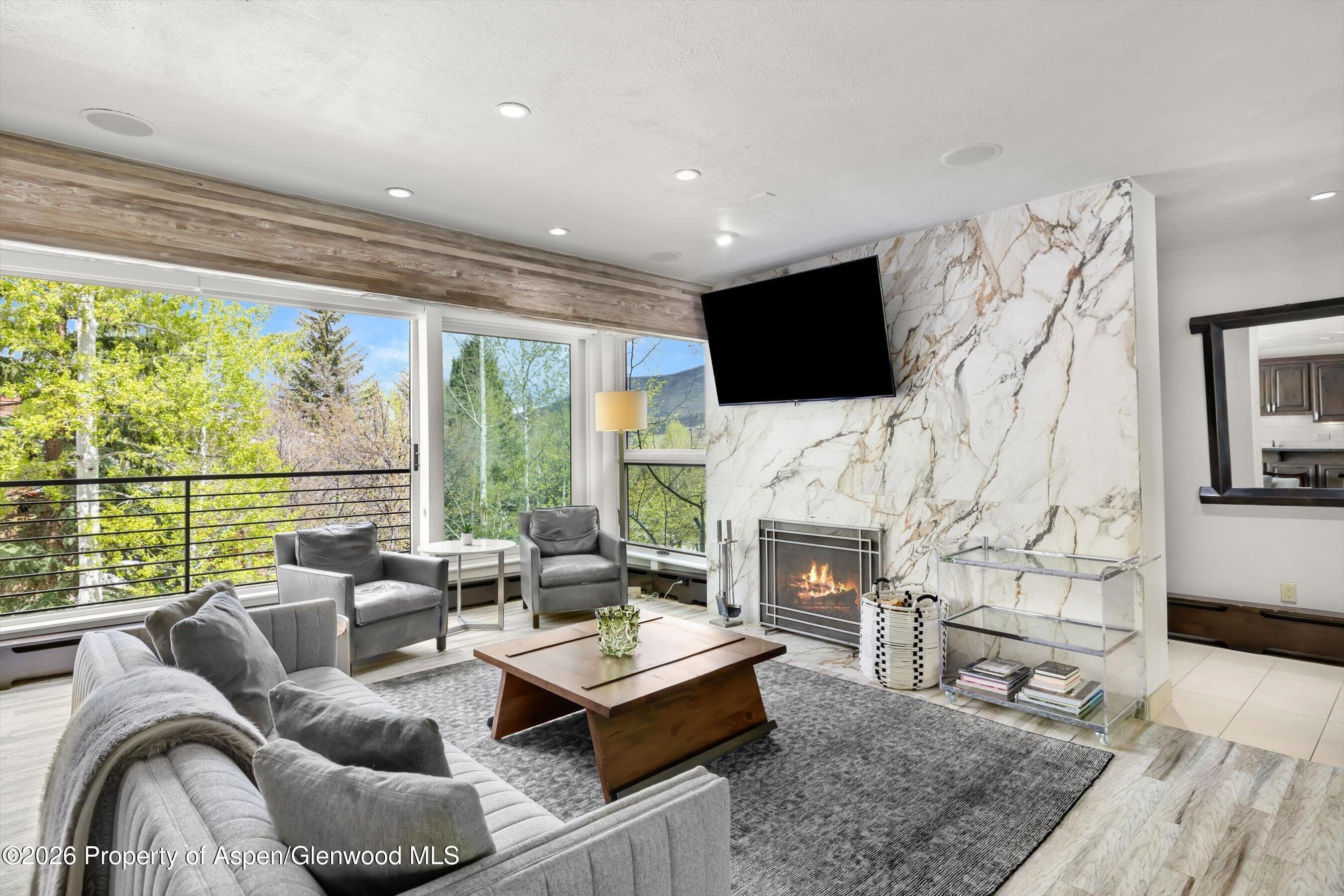 738 S Galena Street 1-C, Aspen, CO 81611 - Photo 1