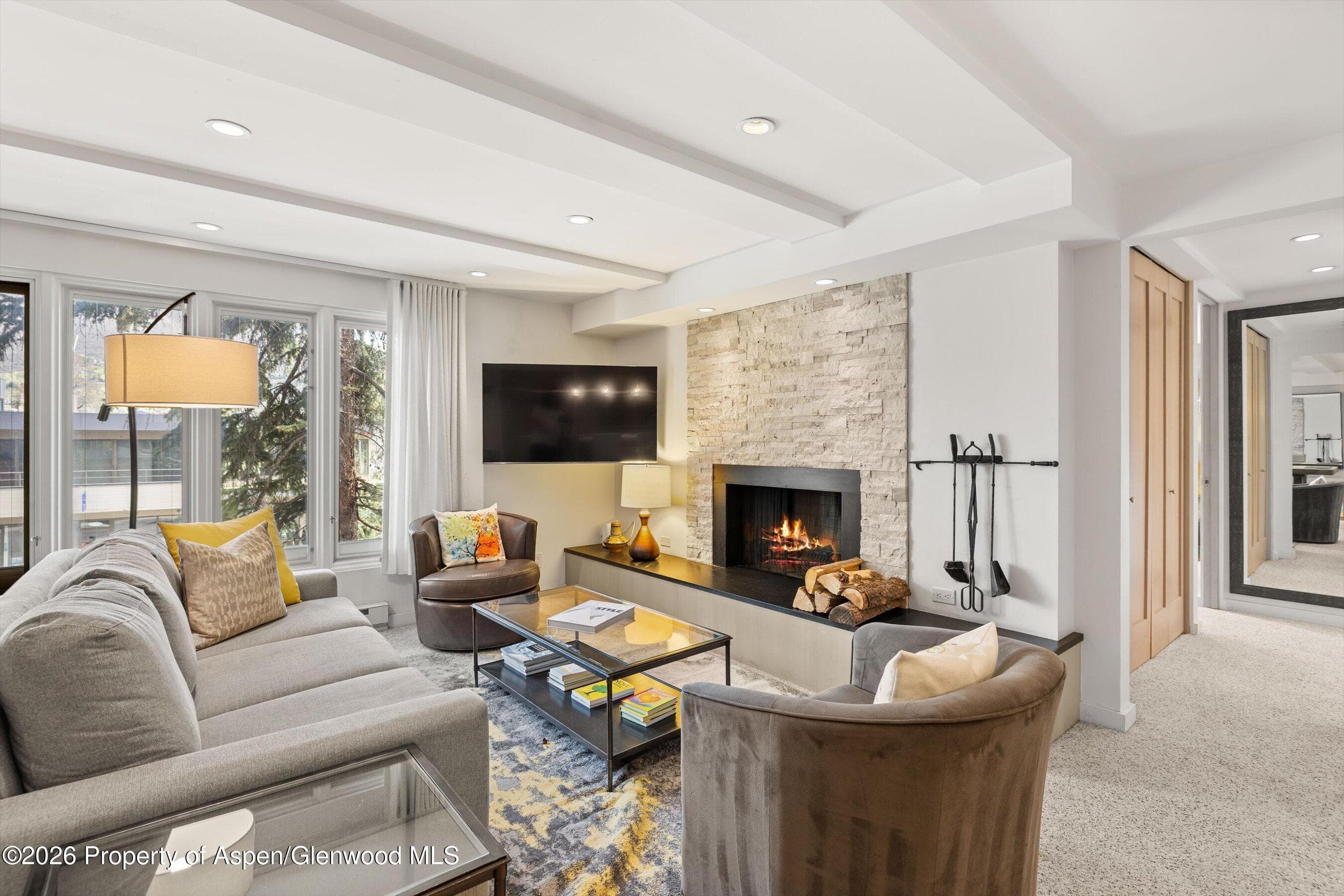 731 E Durant Avenue 10, Aspen, CO 81611 - Photo 1