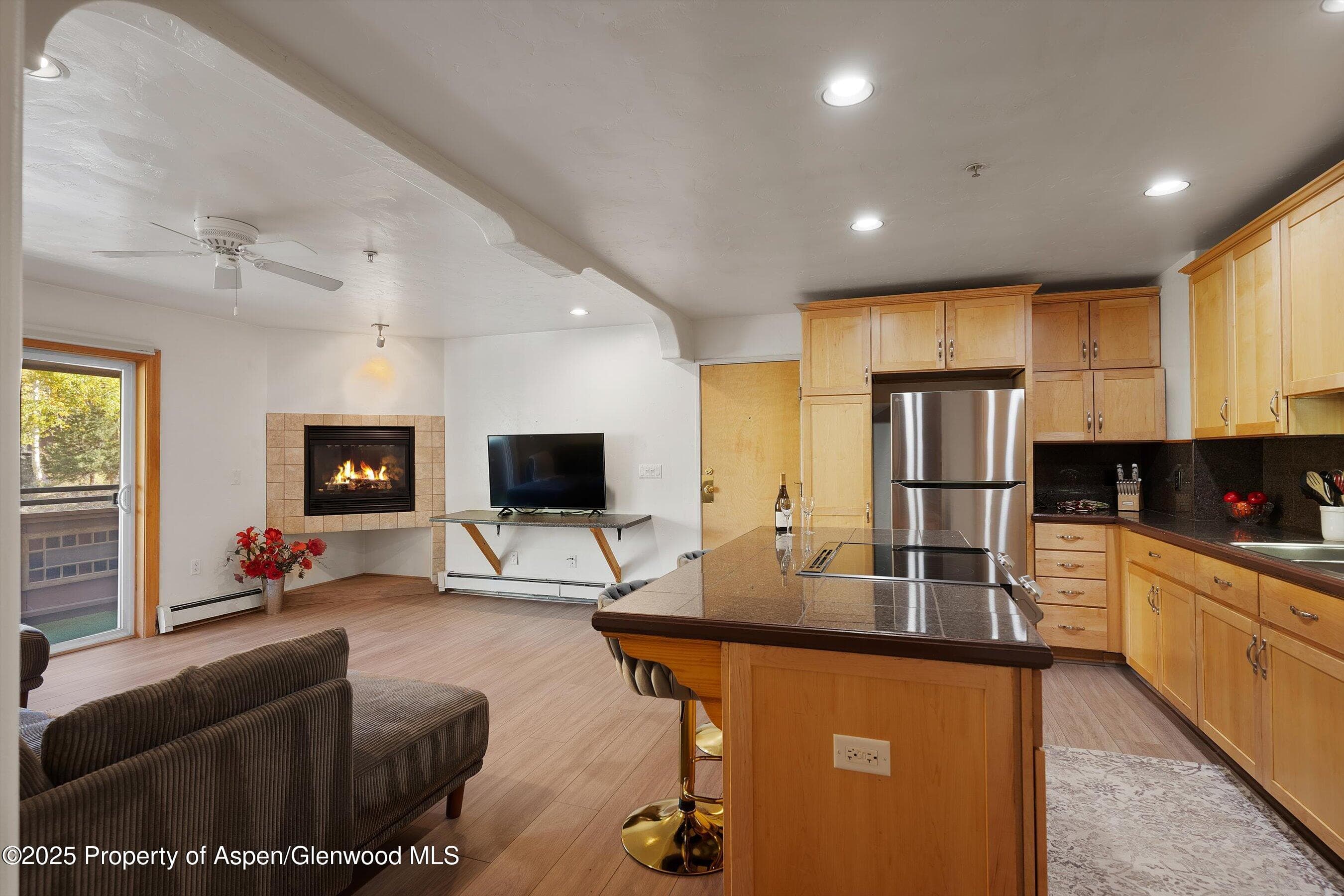 326 Midland Avenue 306, Aspen, CO 81611 - Photo 1