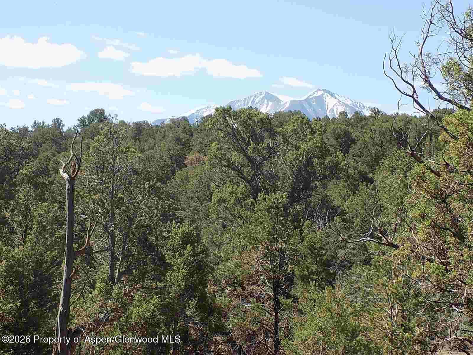 Tbd County Road 107, Carbondale, CO 81623 - Photo 1