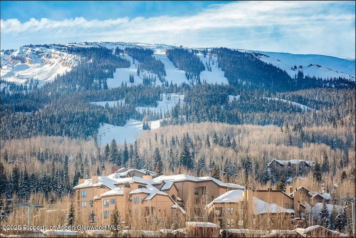 476 Wood Road #41, Snowmass Village, CO 81615 - Photo 1