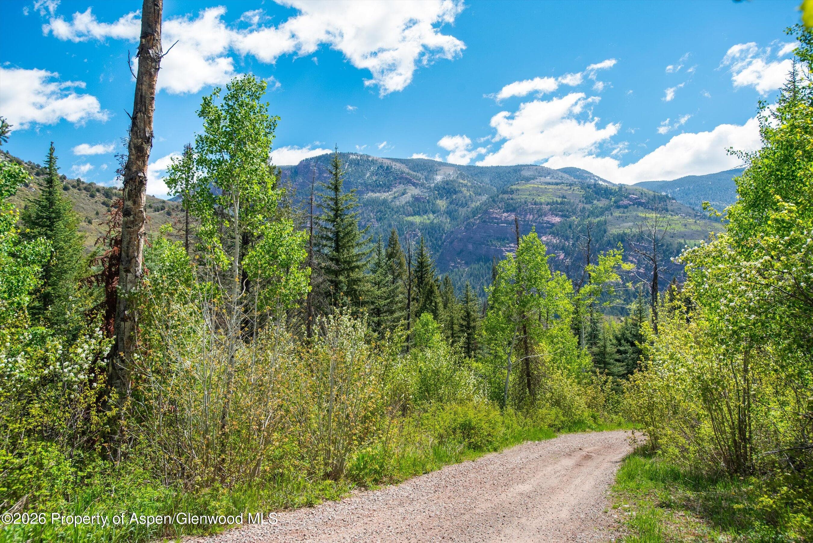 Tbd Coal Creek Road, Redstone, CO 81623 - Photo 1